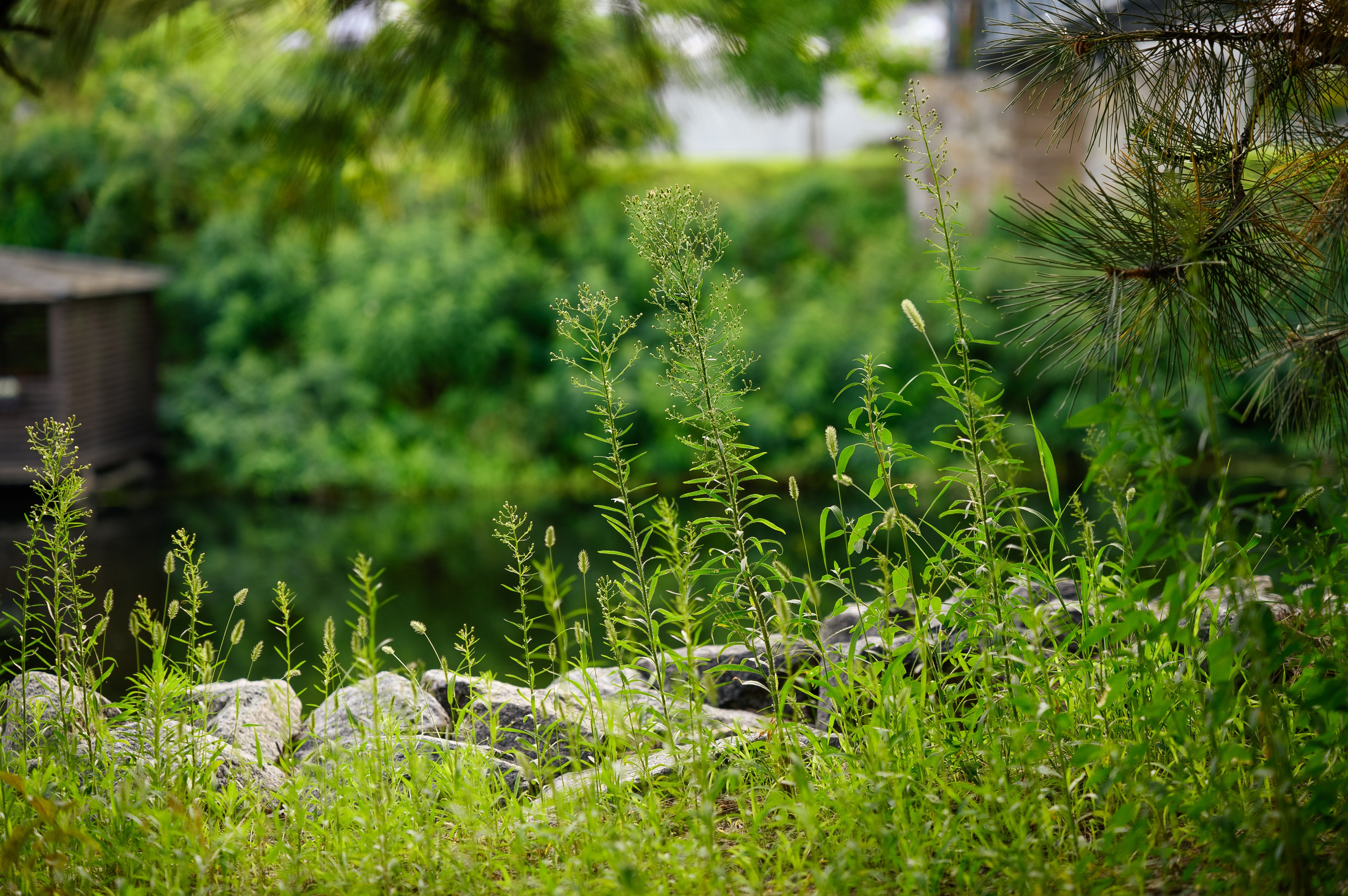 Зйомка для Мис Доброї Надії. Фостик Олександр — фотограф