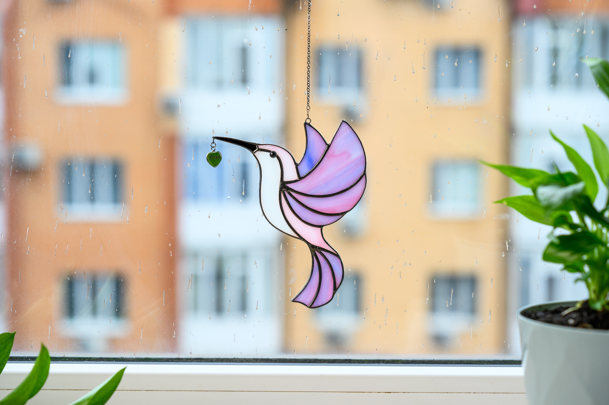 Venus glass art. Фостик Олександр — фотограф