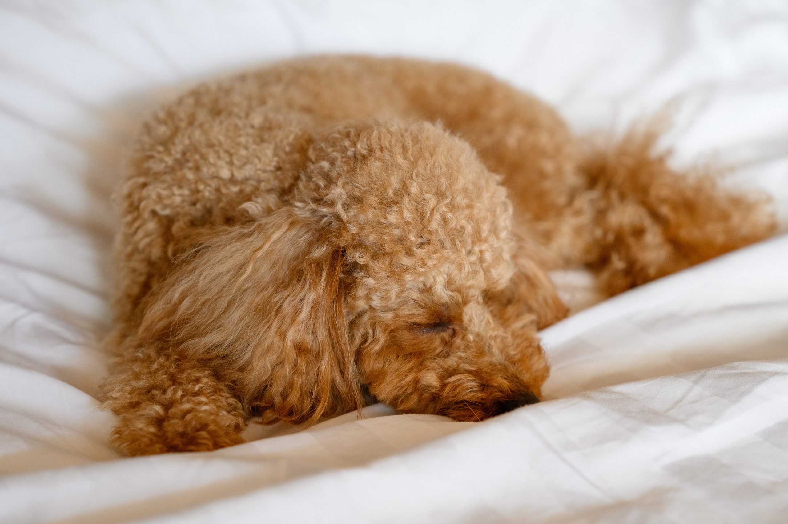 Там где мы. Фостик Александр — фотограф