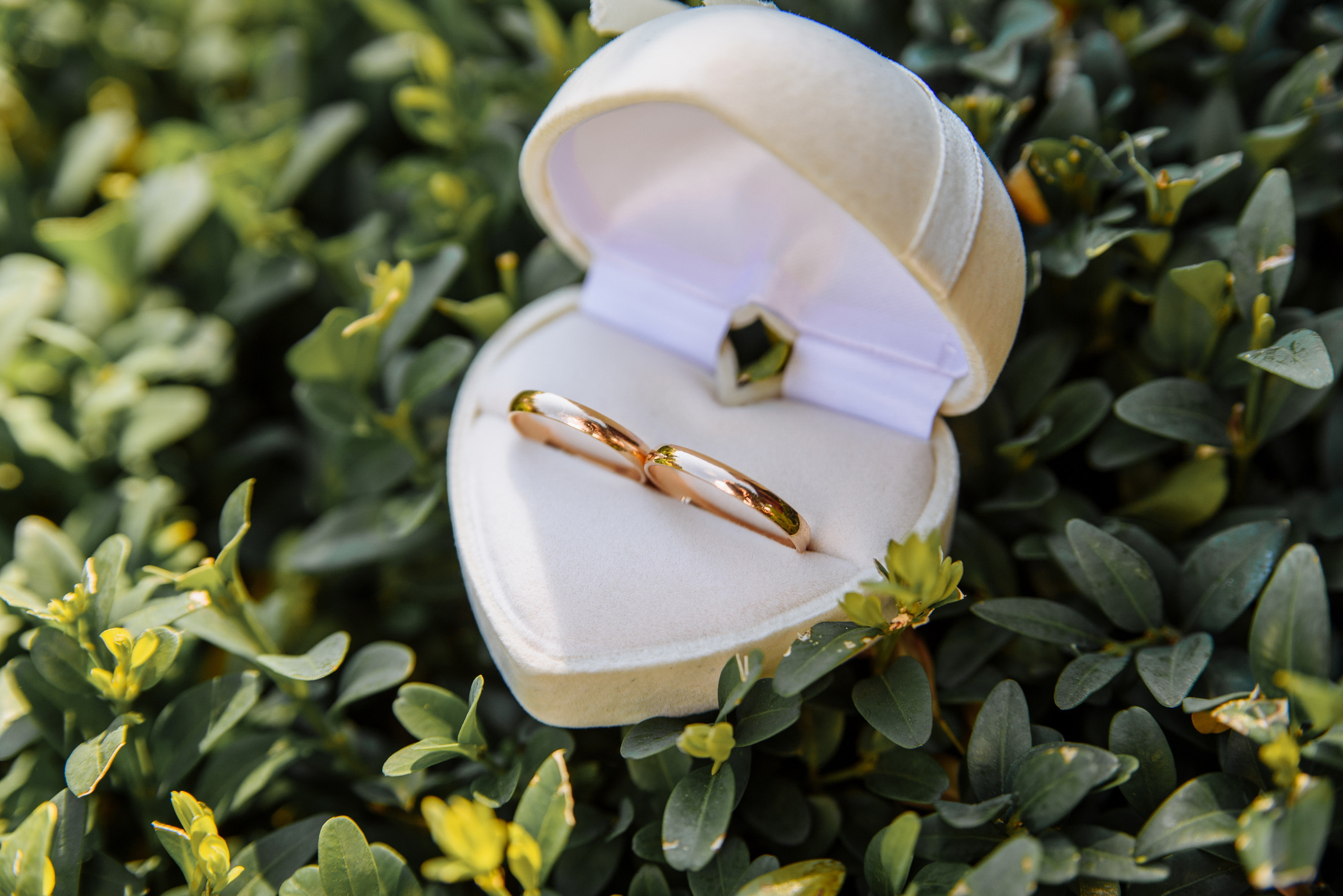 Наша с тобой история. Фостик Александр — фотограф