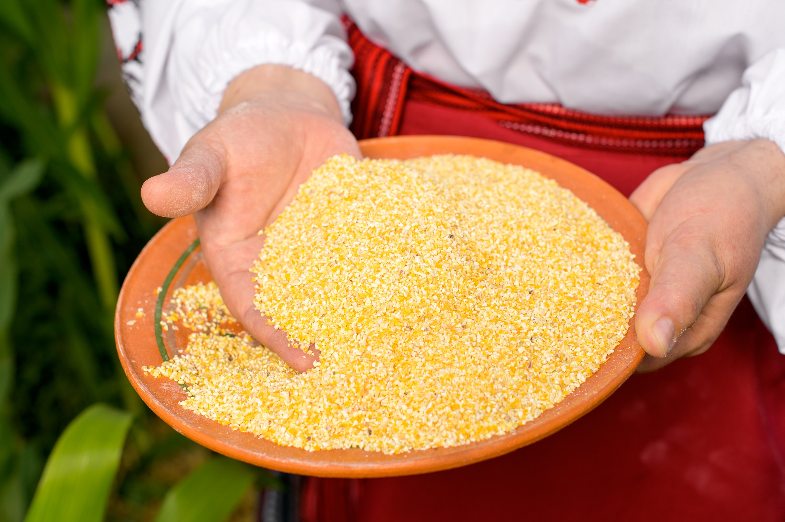 «Рідне село». Фостик Олександр — фотограф