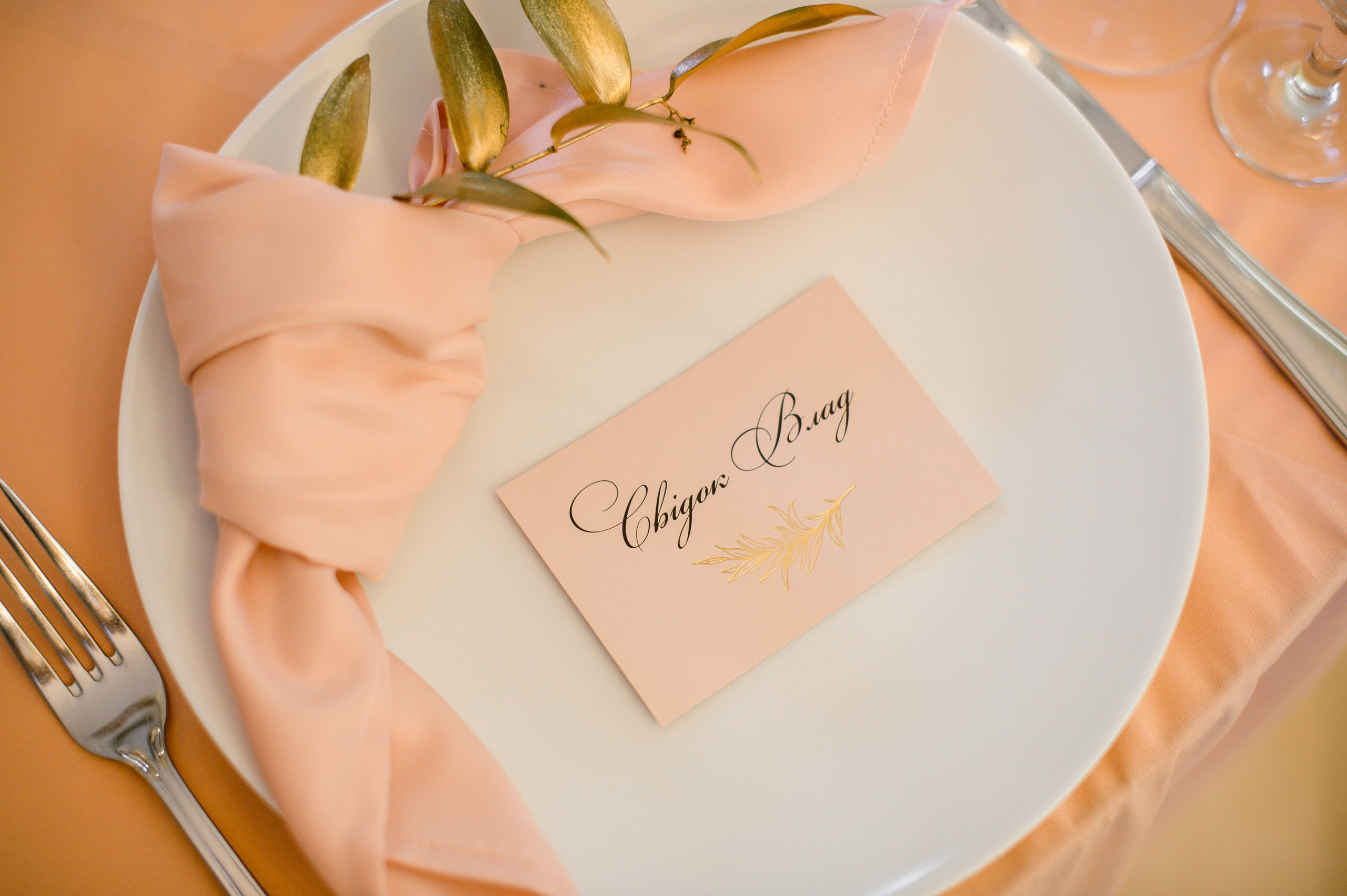 Наші обійми. Фостик Олександр — фотограф