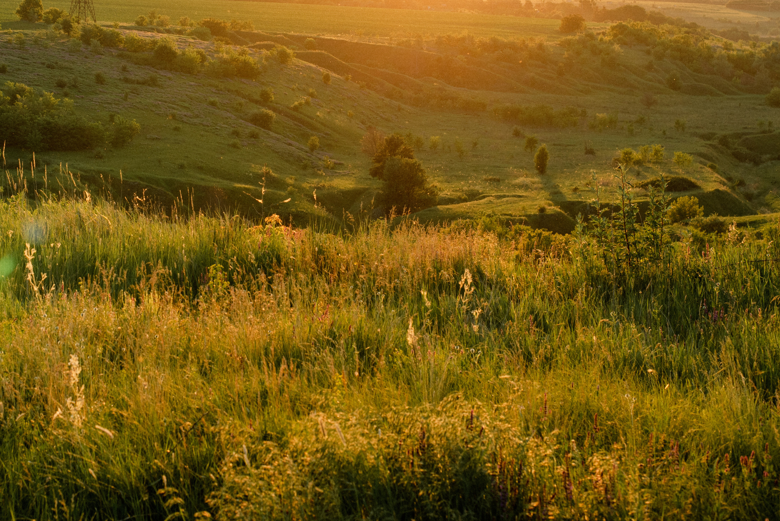 Две новые жизни. Фостик Александр — фотограф