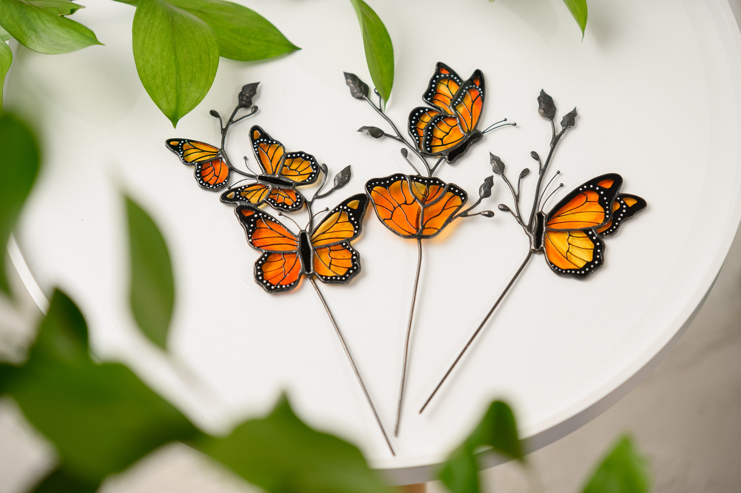 Venus glass art. Фостик Олександр — фотограф