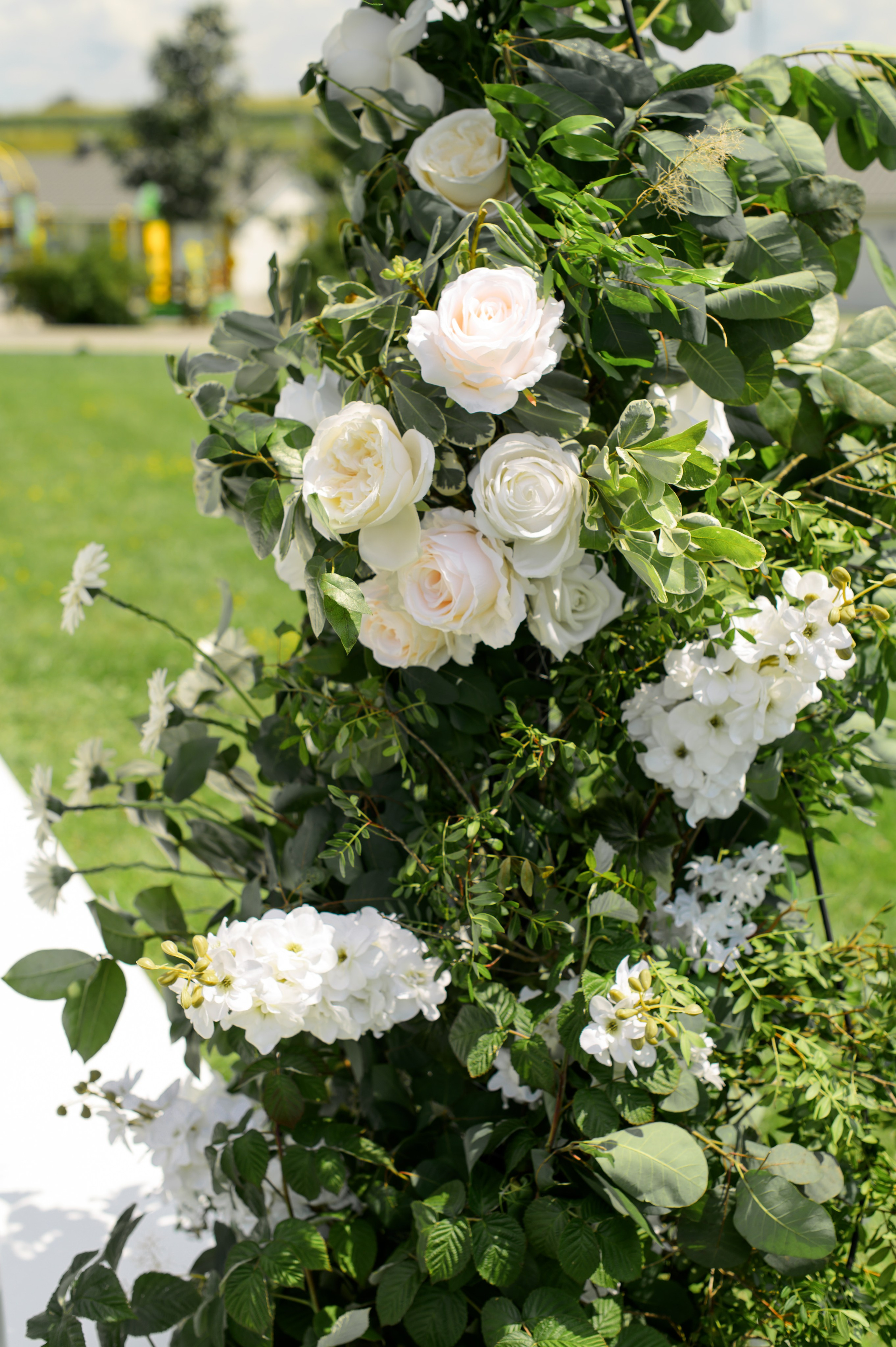 Мелодия любви. Фостик Александр — фотограф