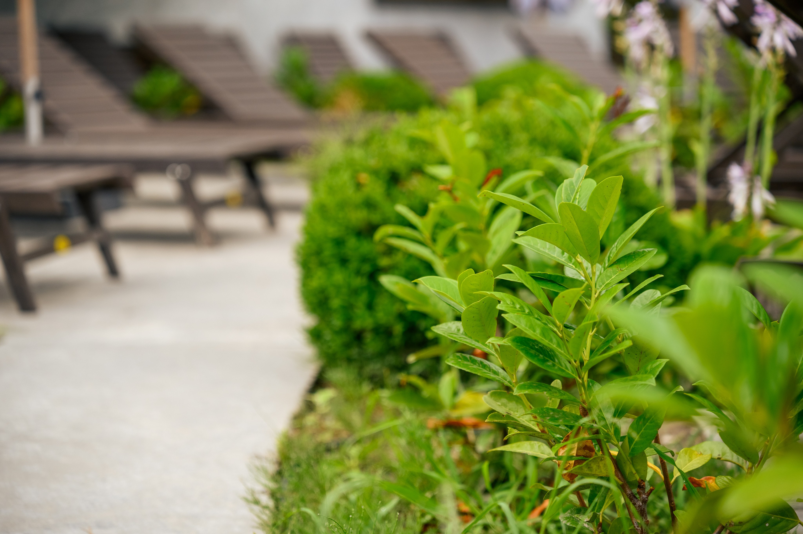 Зйомка для Мис Доброї Надії. Фостик Олександр — фотограф