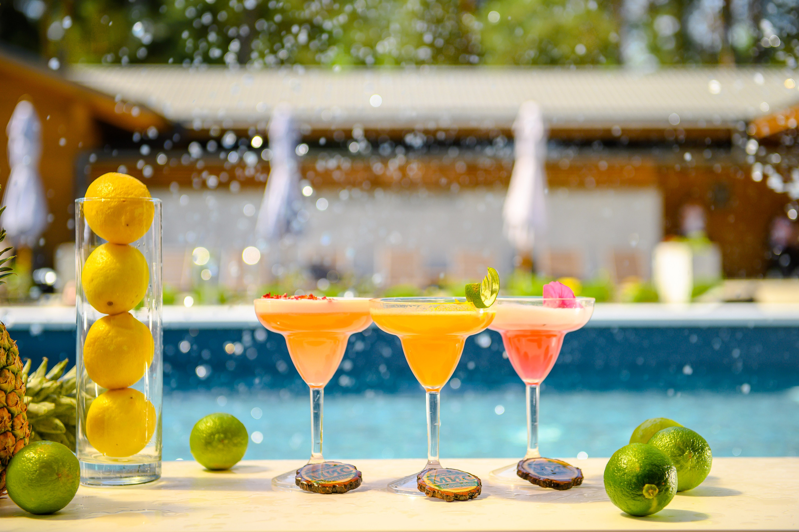 Загородный комплекс «Мыс доброй надежды». Фостик Александр — фотограф