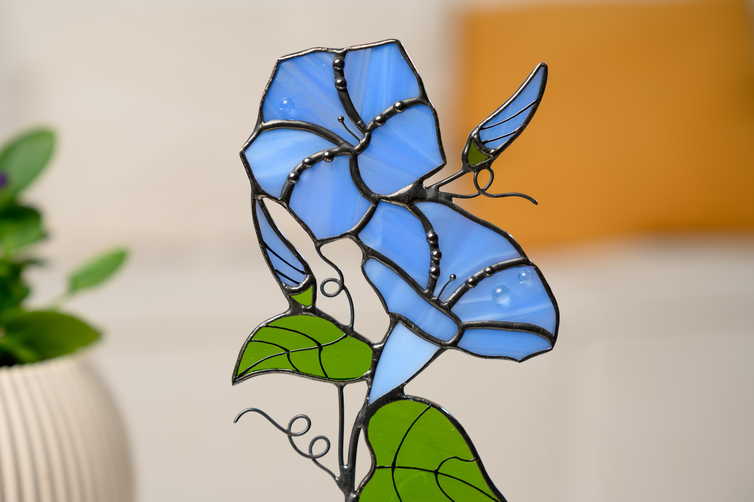 Venus glass art. Фостик Олександр — фотограф