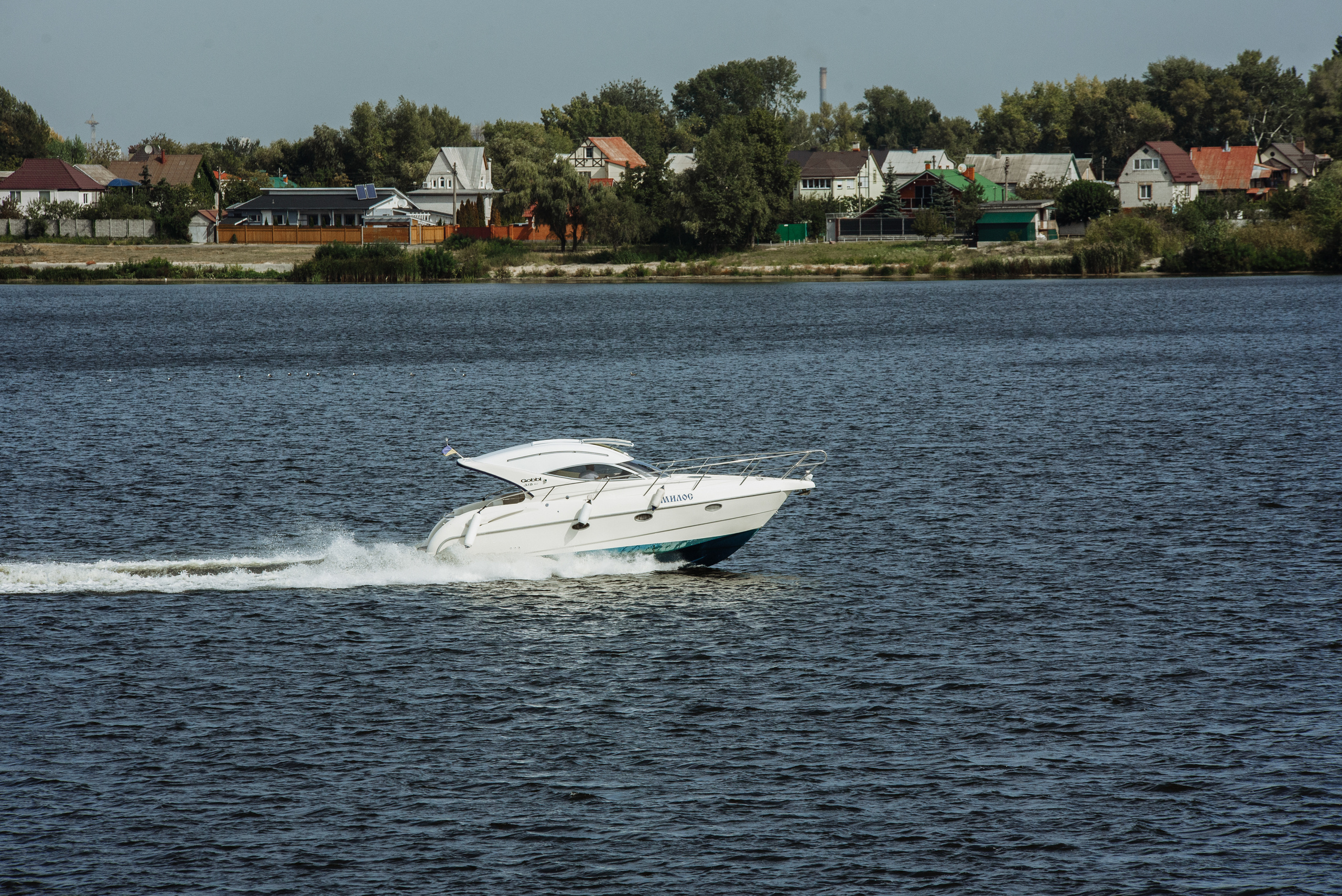 Laconic and elegant wedding. Fostik Alexander — photographer