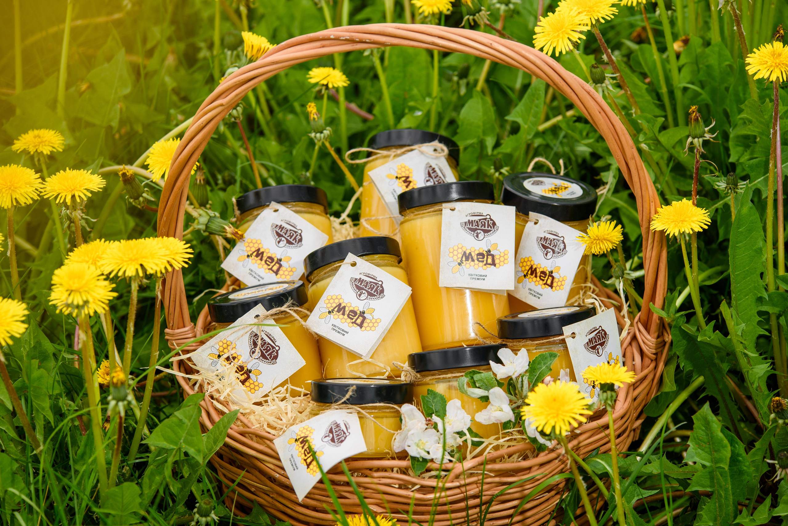 «Рідне село». Фостик Олександр — фотограф