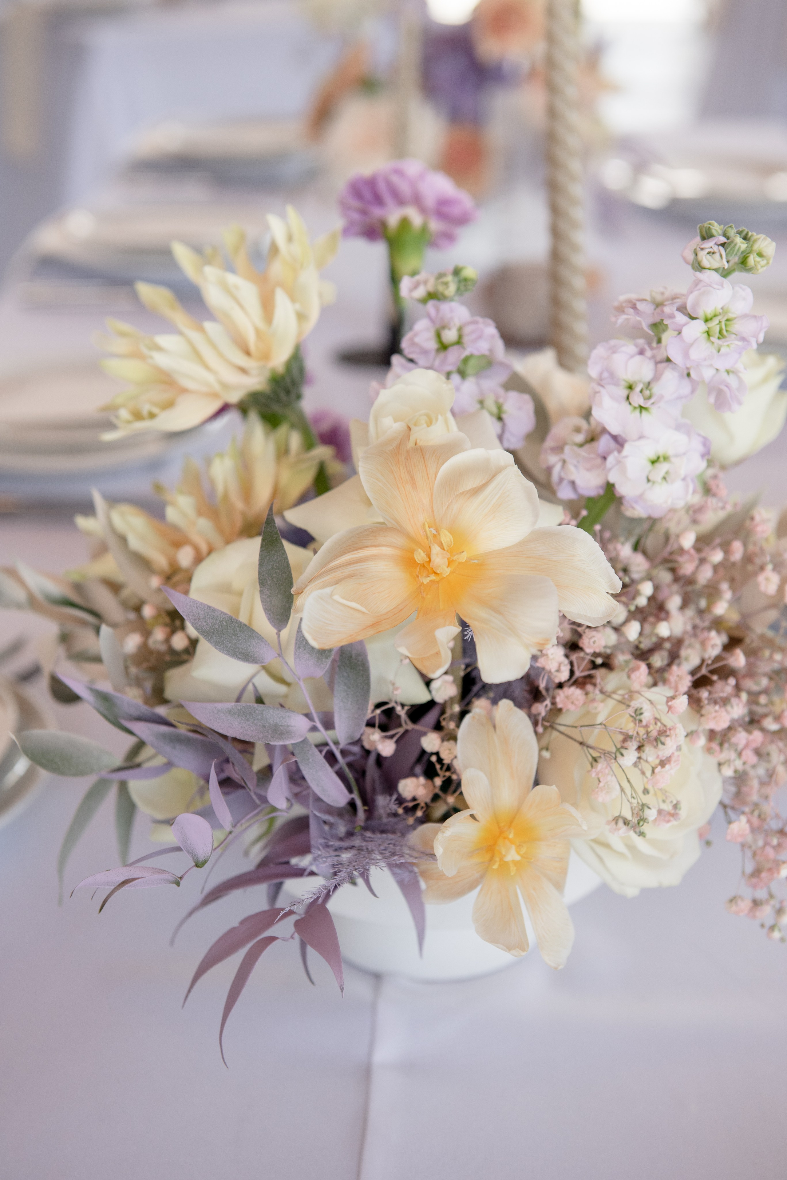 Више неба. Фостик Александр — фотограф