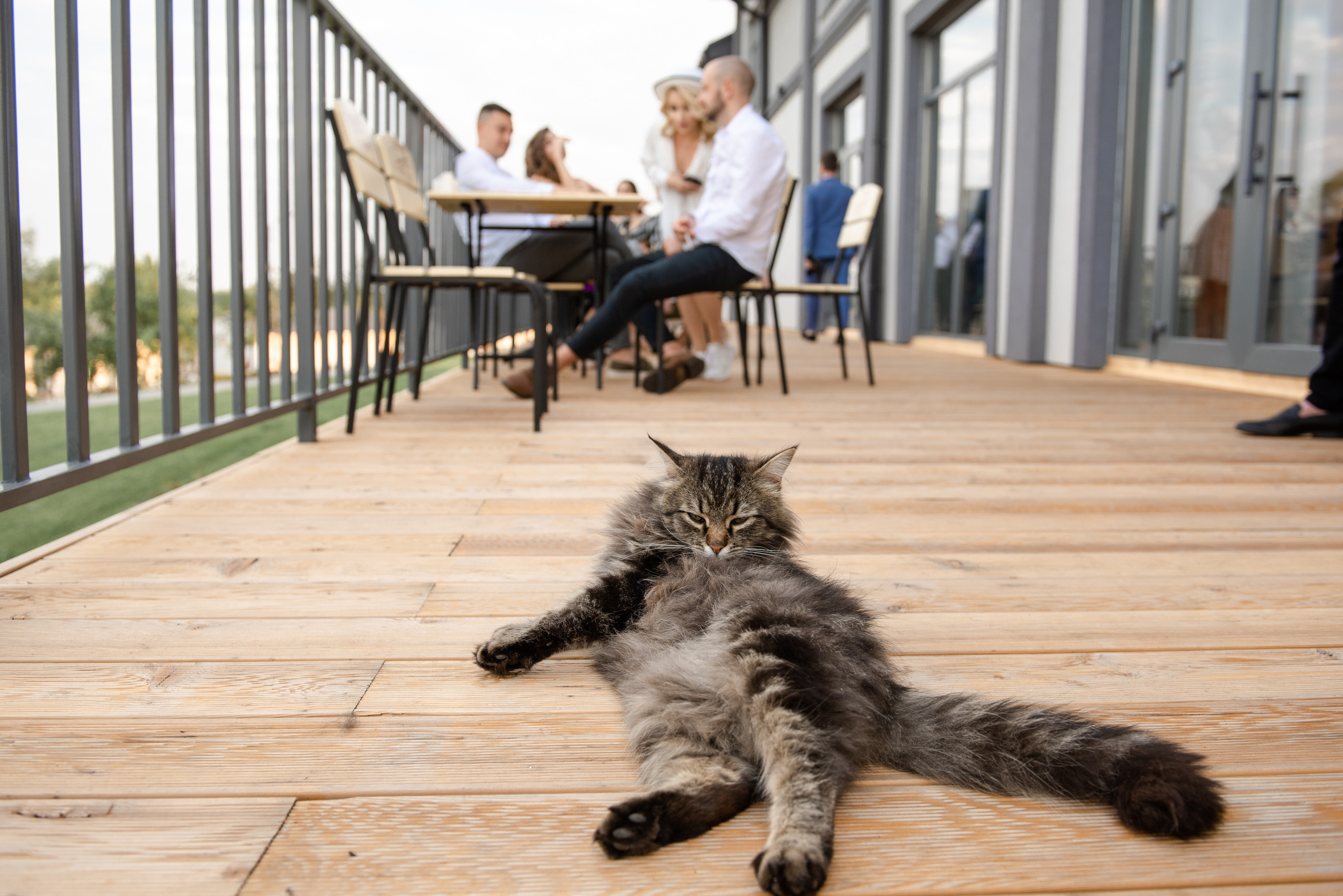 На одній хвилі. Фостик Олександр — фотограф