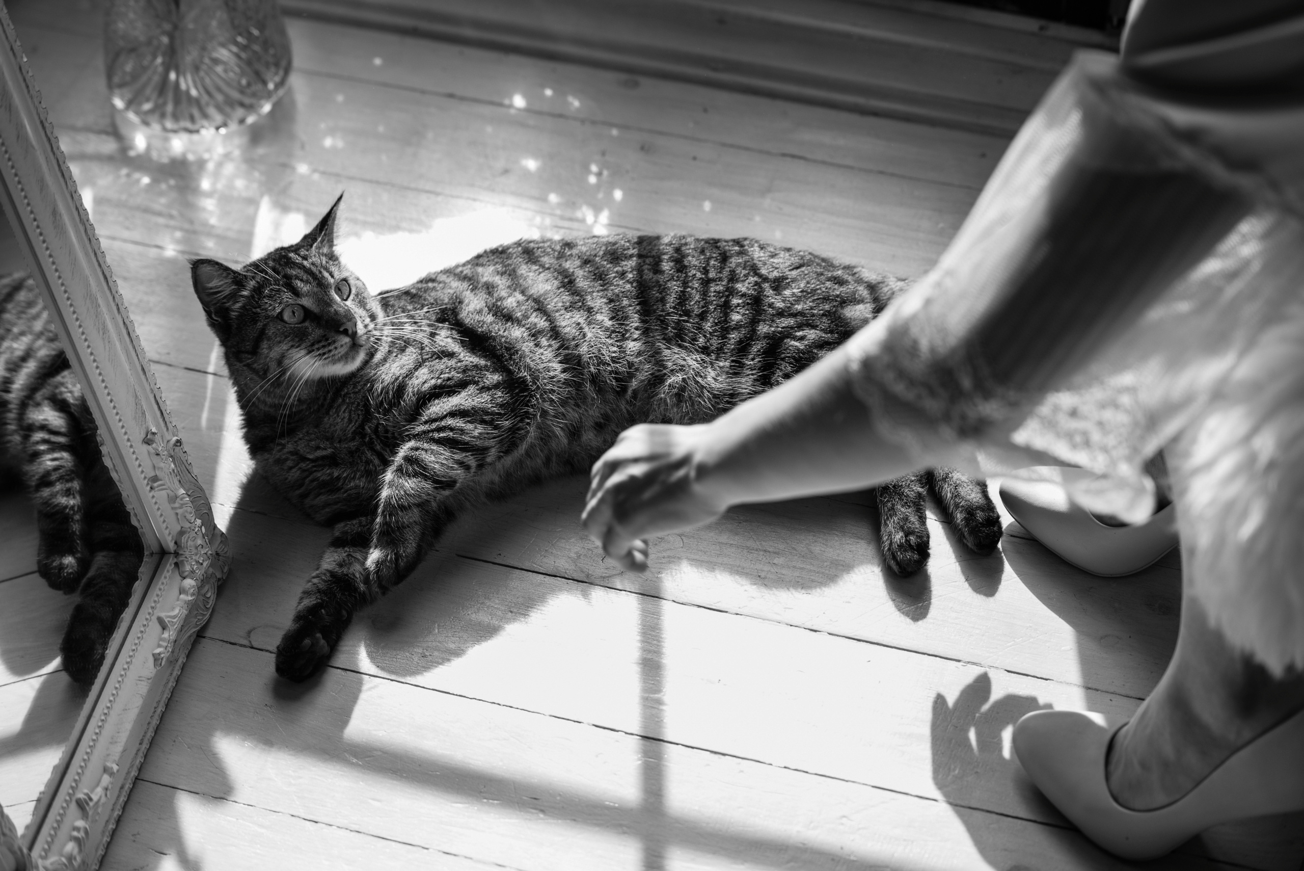 Laconic and elegant wedding. Fostik Alexander — photographer