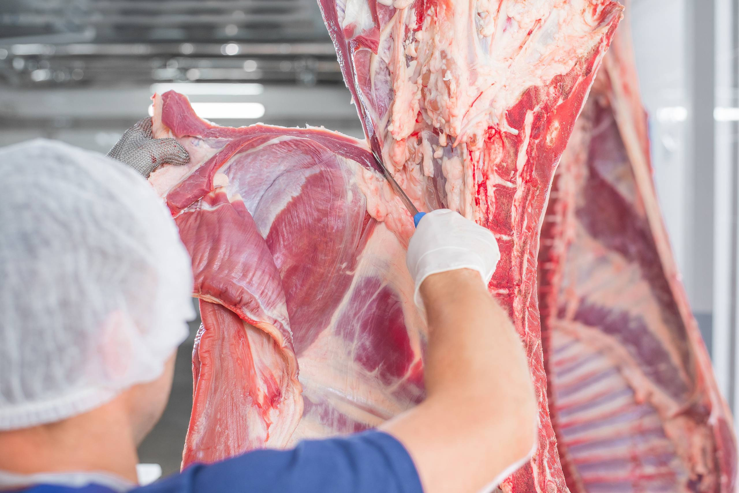 Мережа продуктових магазинів «Рідне Село». Фостик Олександр — фотограф