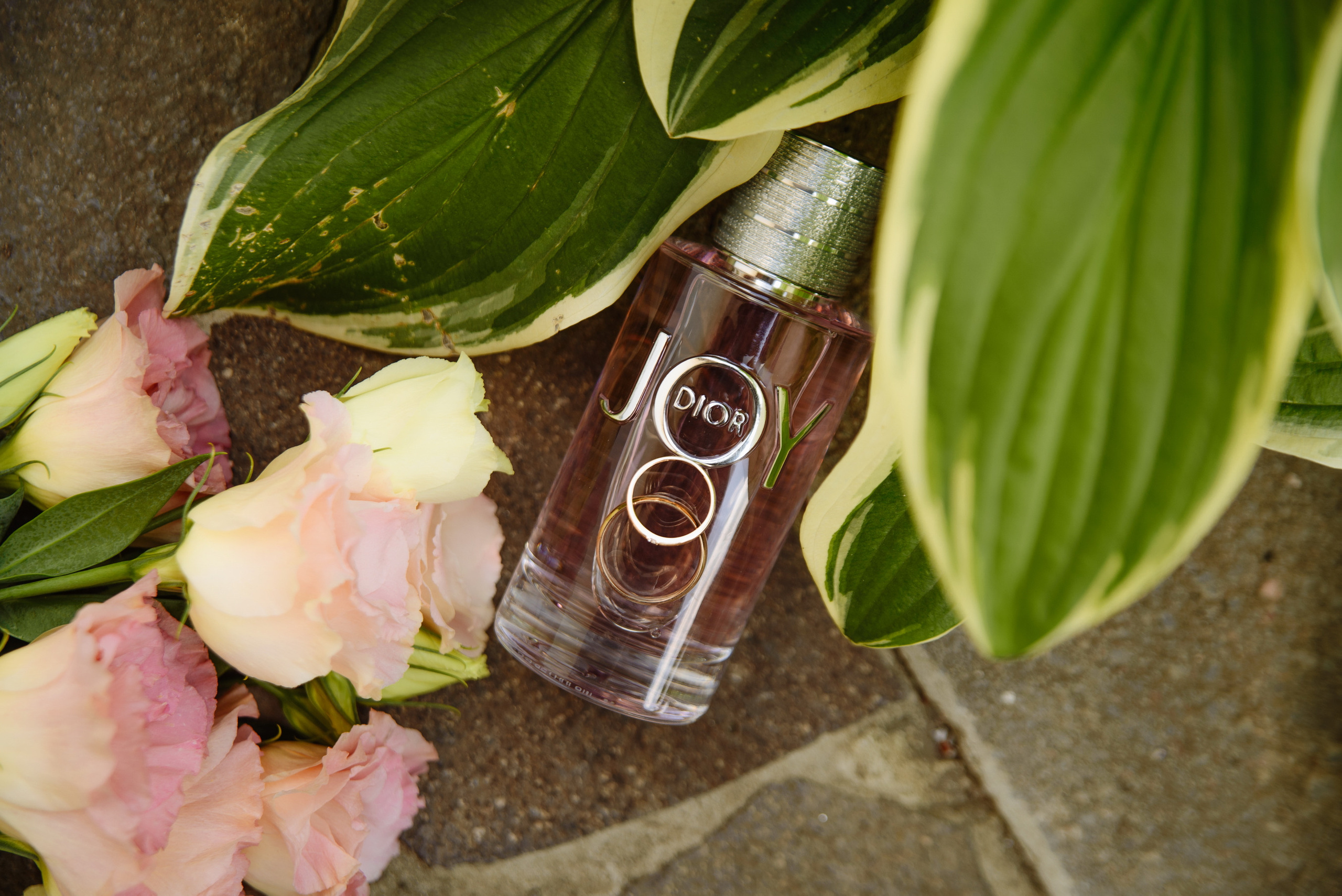 Щастя в дрібницях. Фостик Олександр — фотограф