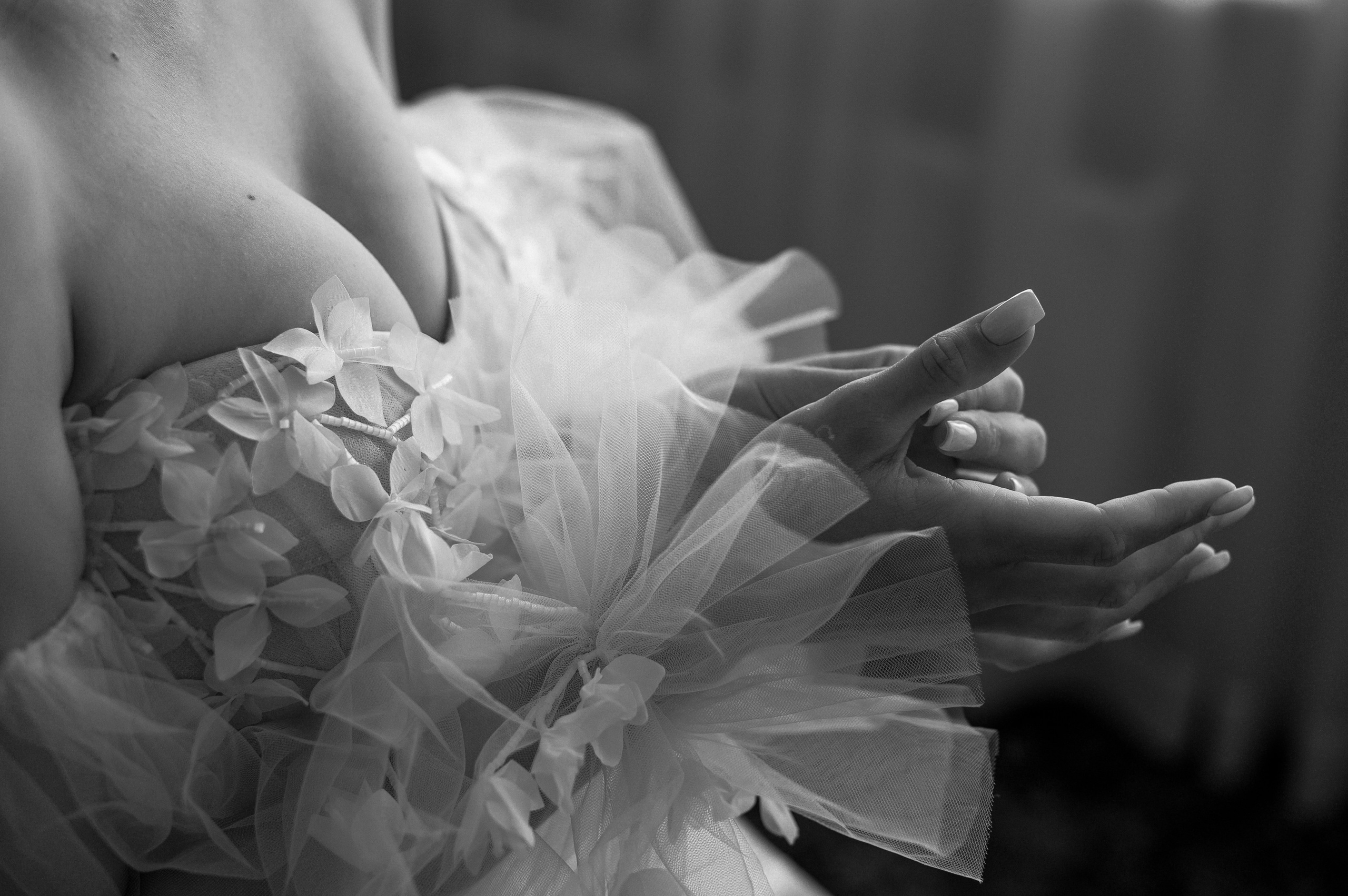 Наші обійми. Фостик Олександр — фотограф