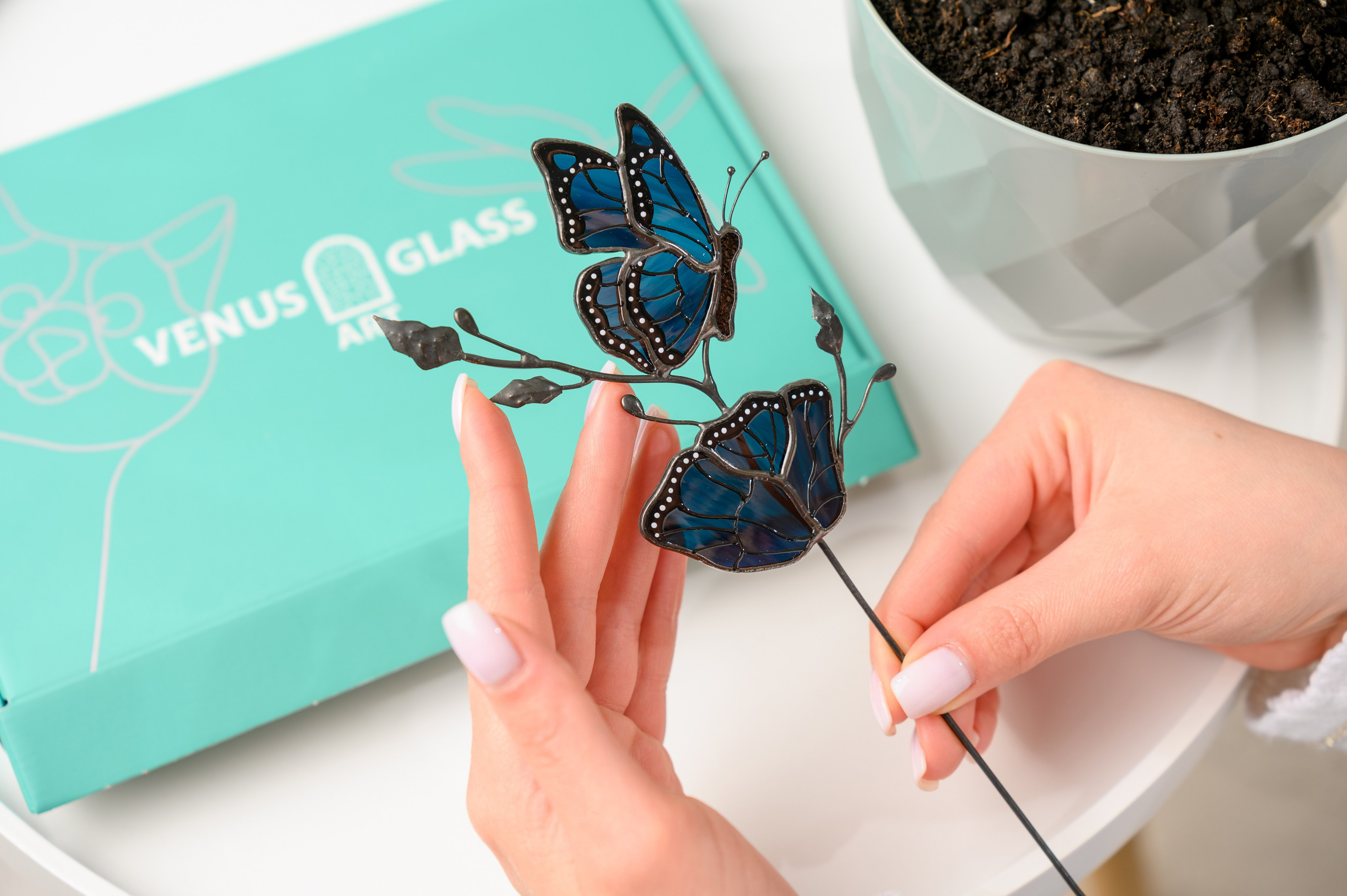 Venus glass art. Фостик Олександр — фотограф