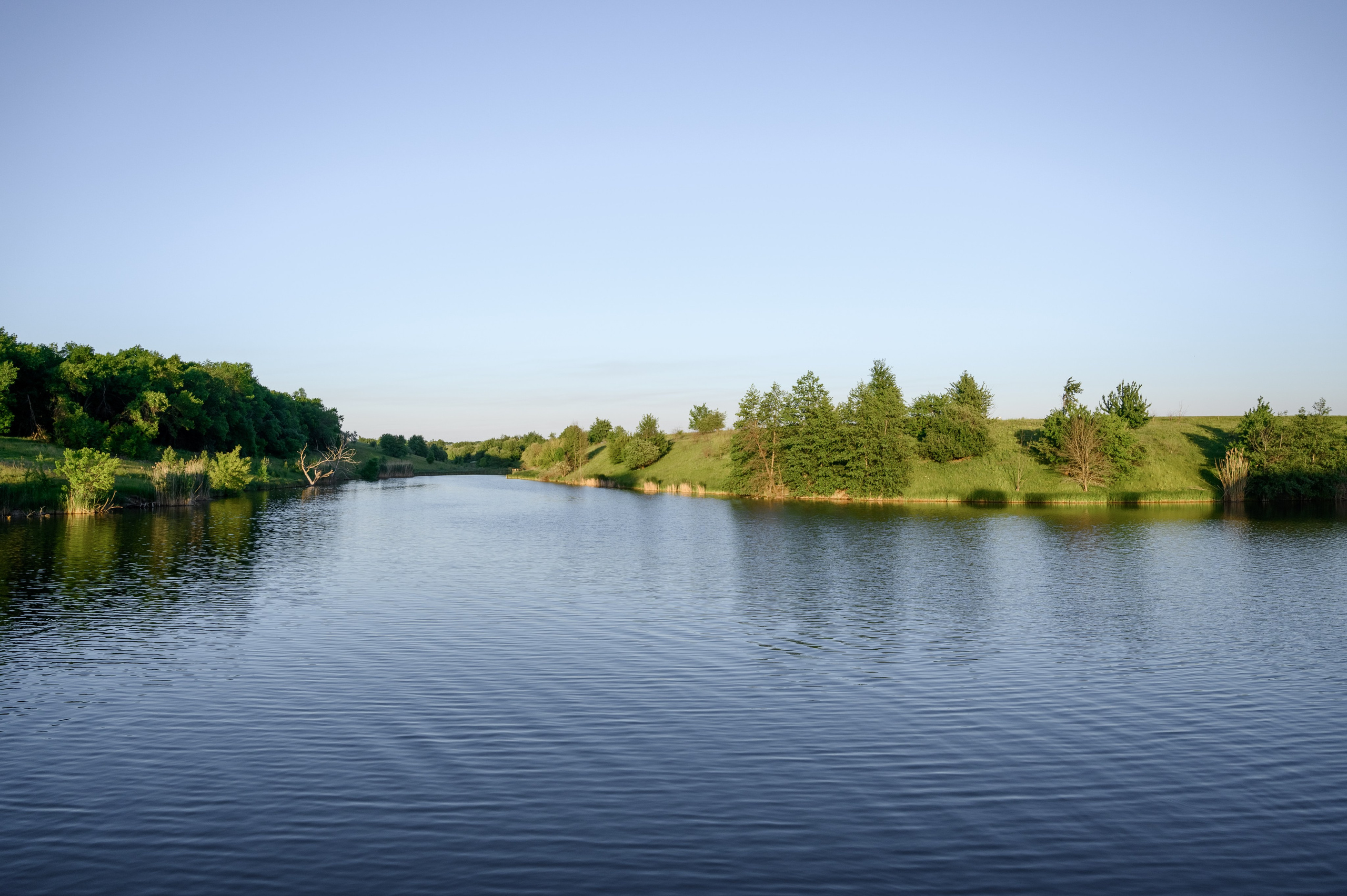 Улыбки счастья. Фостик Александр — фотограф