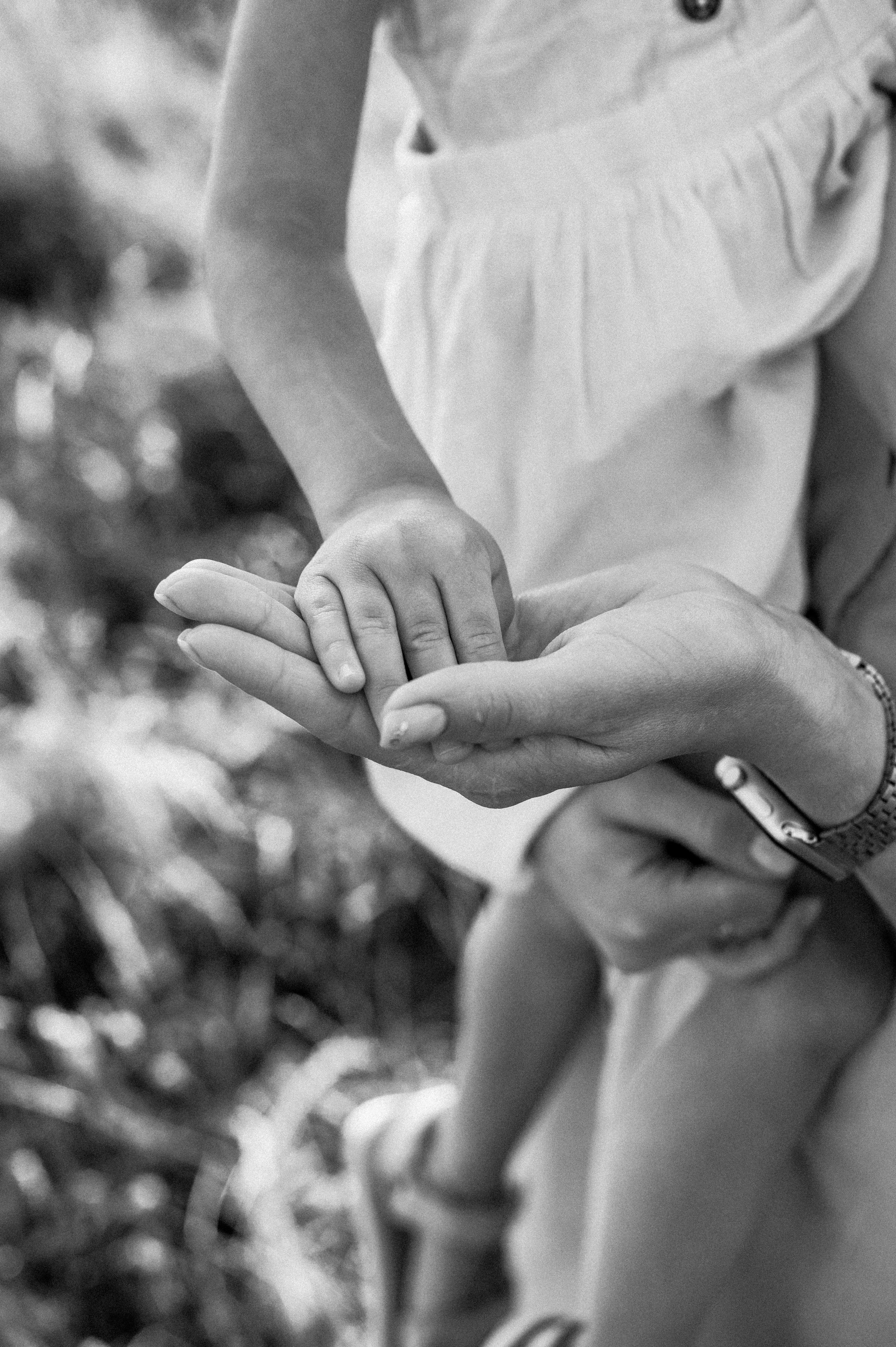 Sunny day. Fostik Alexander — photographer