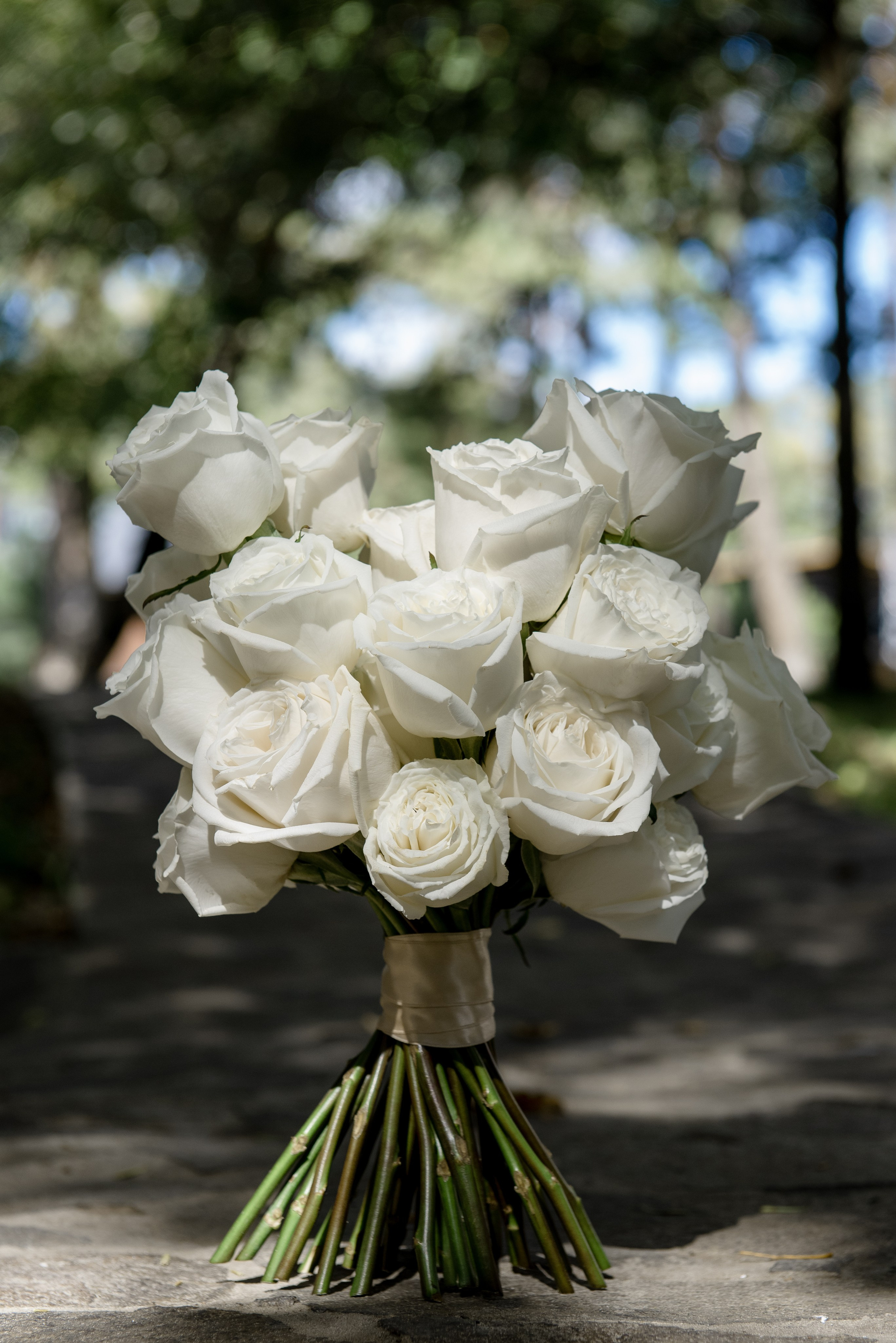 Више неба. Фостик Александр — фотограф