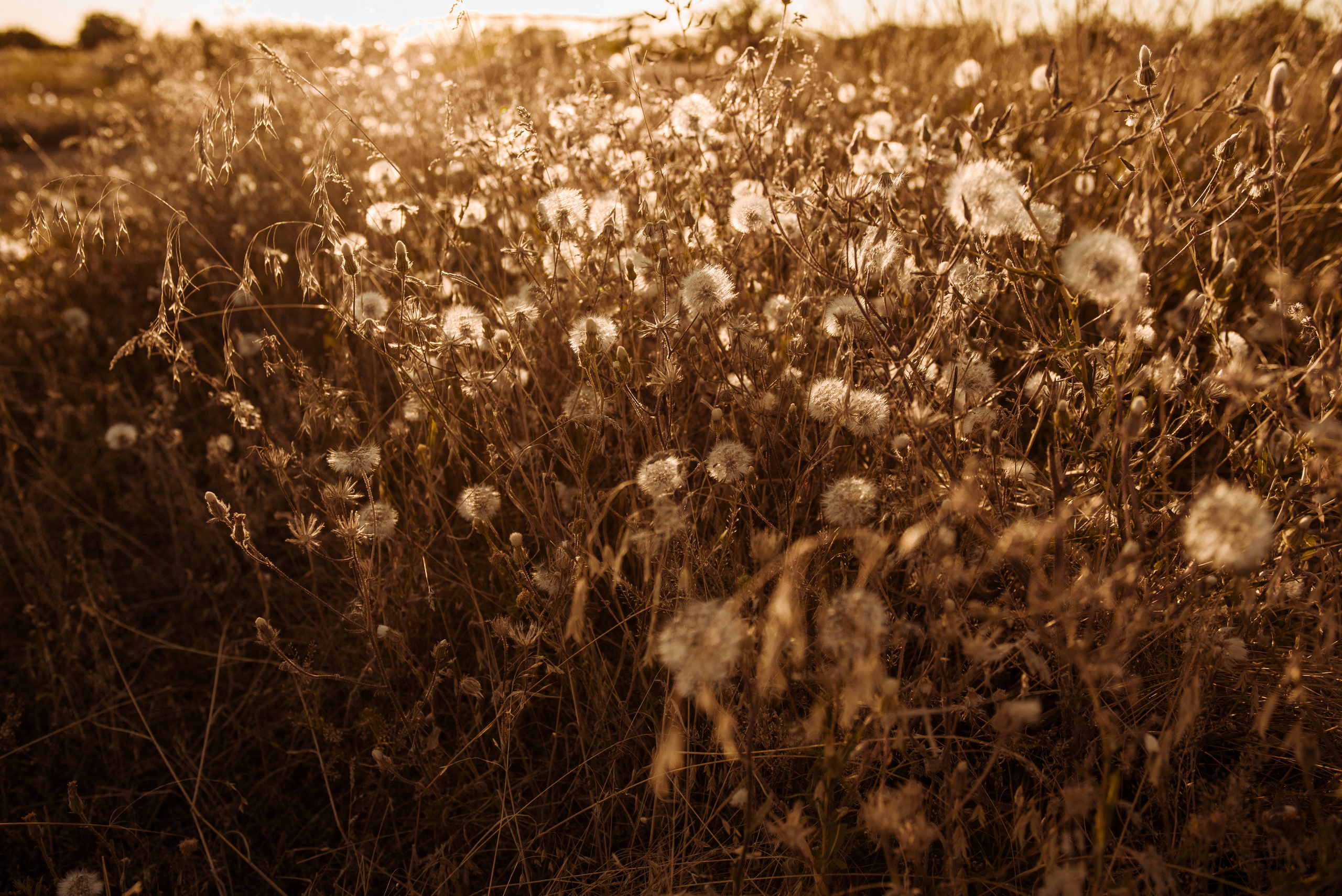 Сім’я це…. Фостик Олександр — фотограф