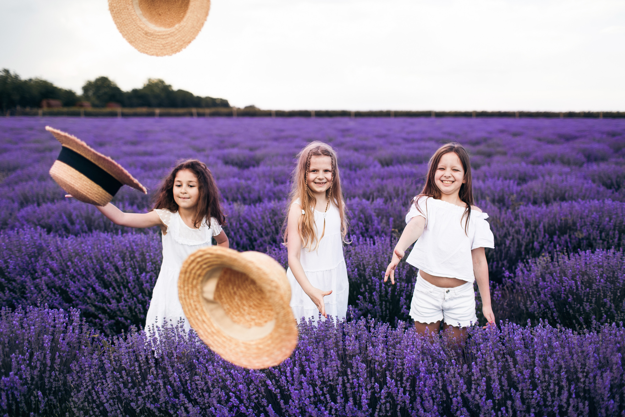 Fotograf Lavanda Chishinau. Свадебный Фотограф Кишинев, Москва Евгений Шевердов