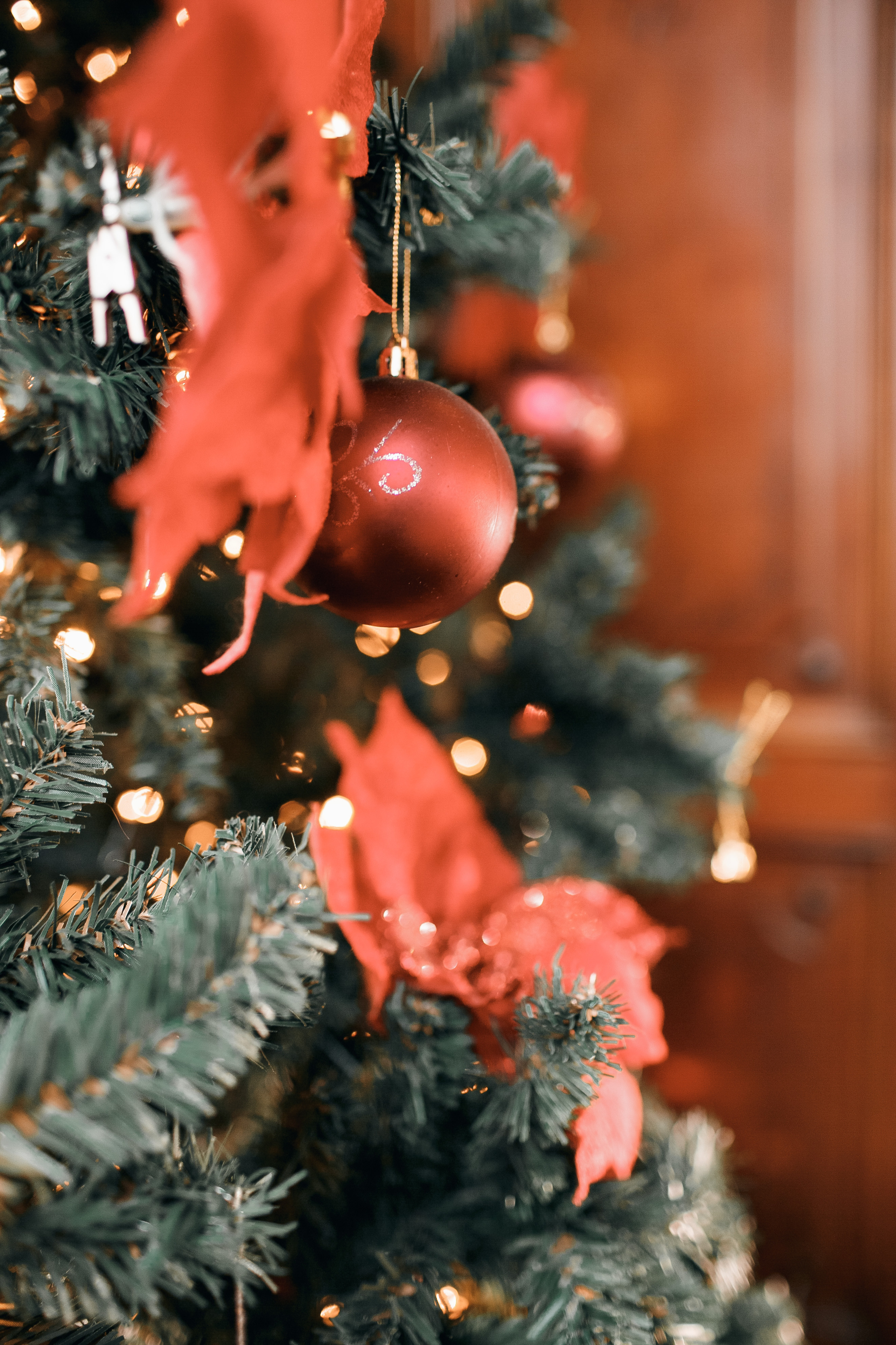 Фотограф На новый год. Свадебный Фотограф Кишинев, Москва Евгений Шевердов