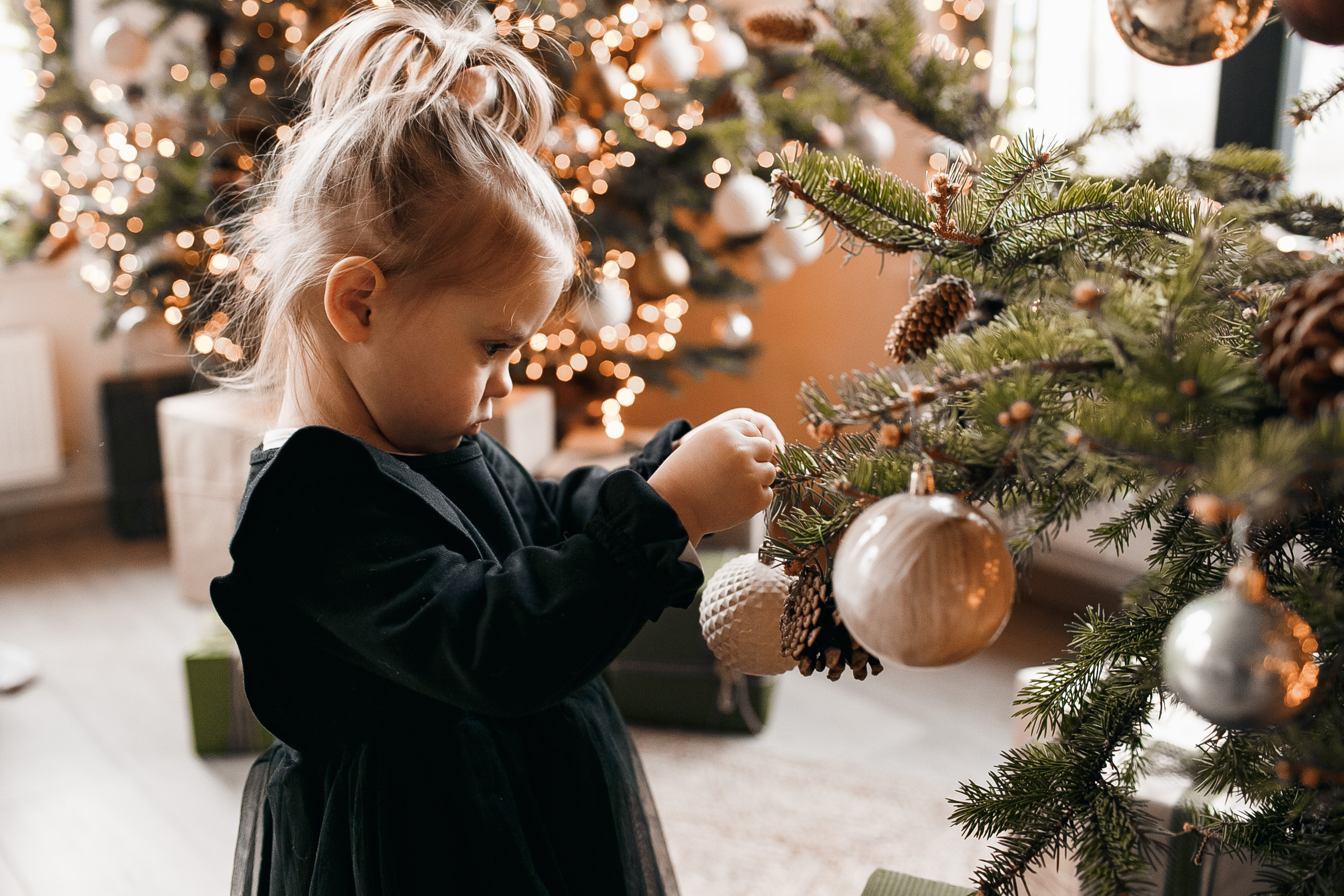 Новогодняя фотосессия в Кишиневе. Свадебный Фотограф Кишинев, Москва Евгений Шевердов