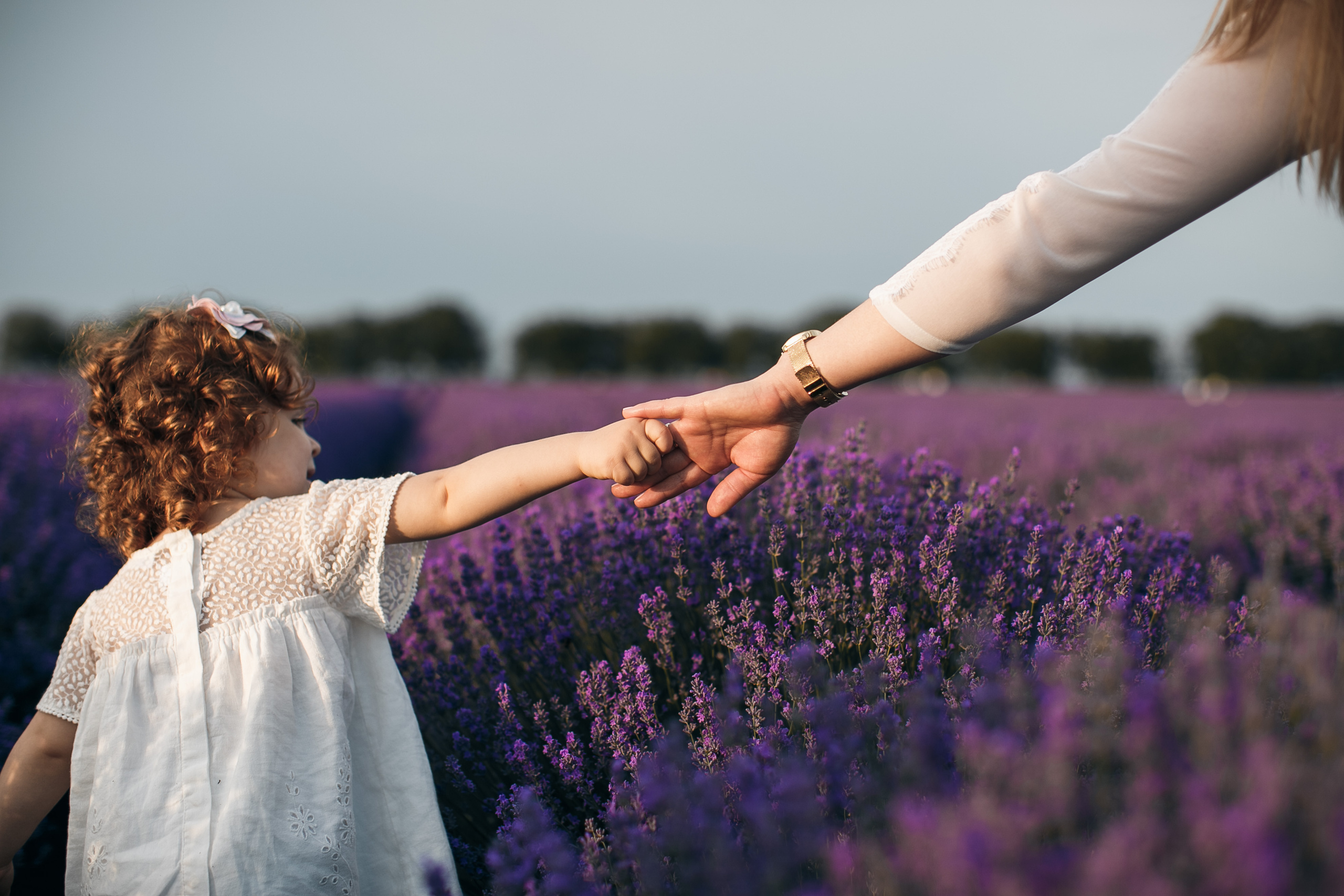 Fotograf lavandita Chishinau. Свадебный Фотограф Кишинев, Москва Евгений Шевердов