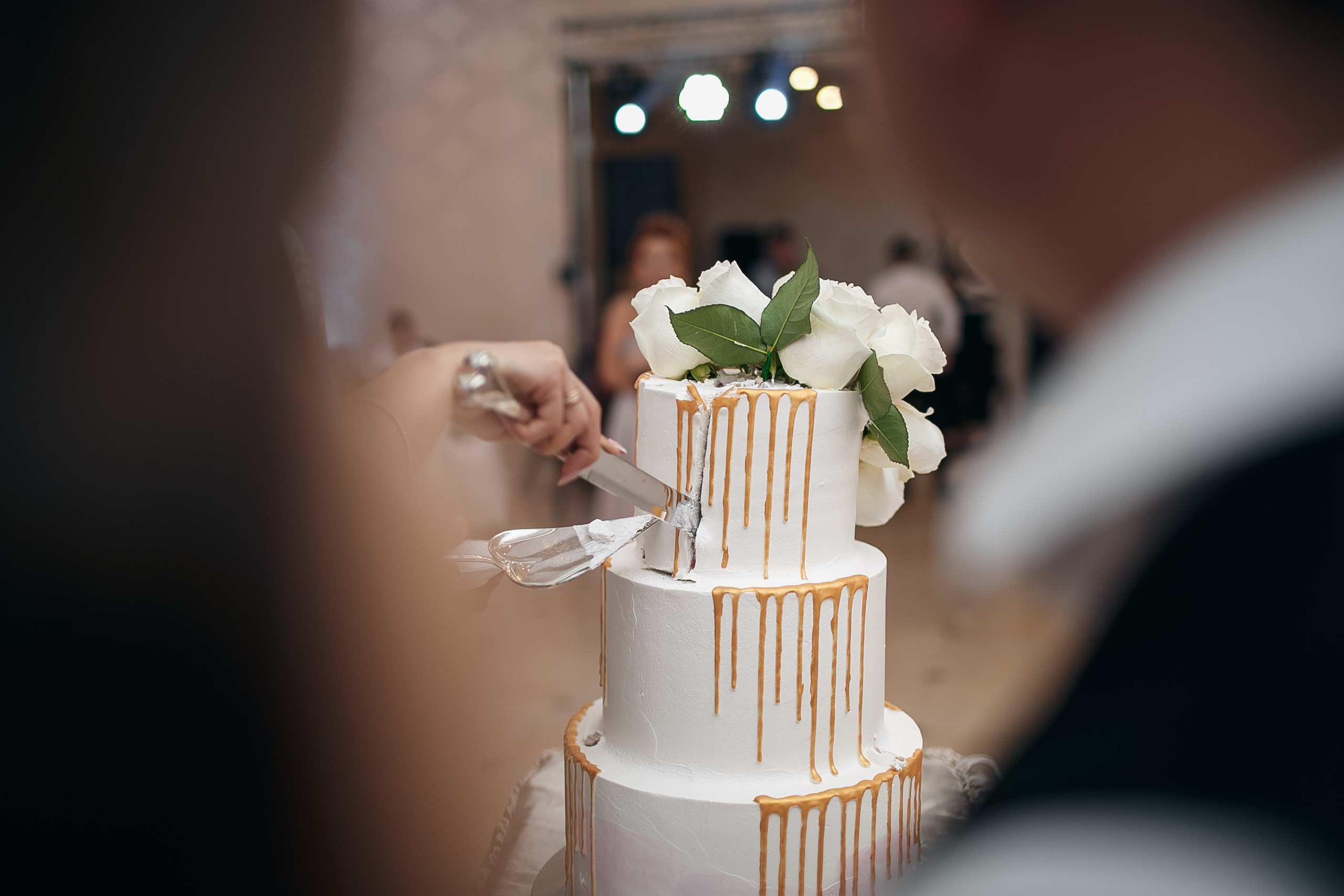 Свадьба в Ботаническом саду. Свадебный Фотограф Кишинев, Москва Евгений Шевердов