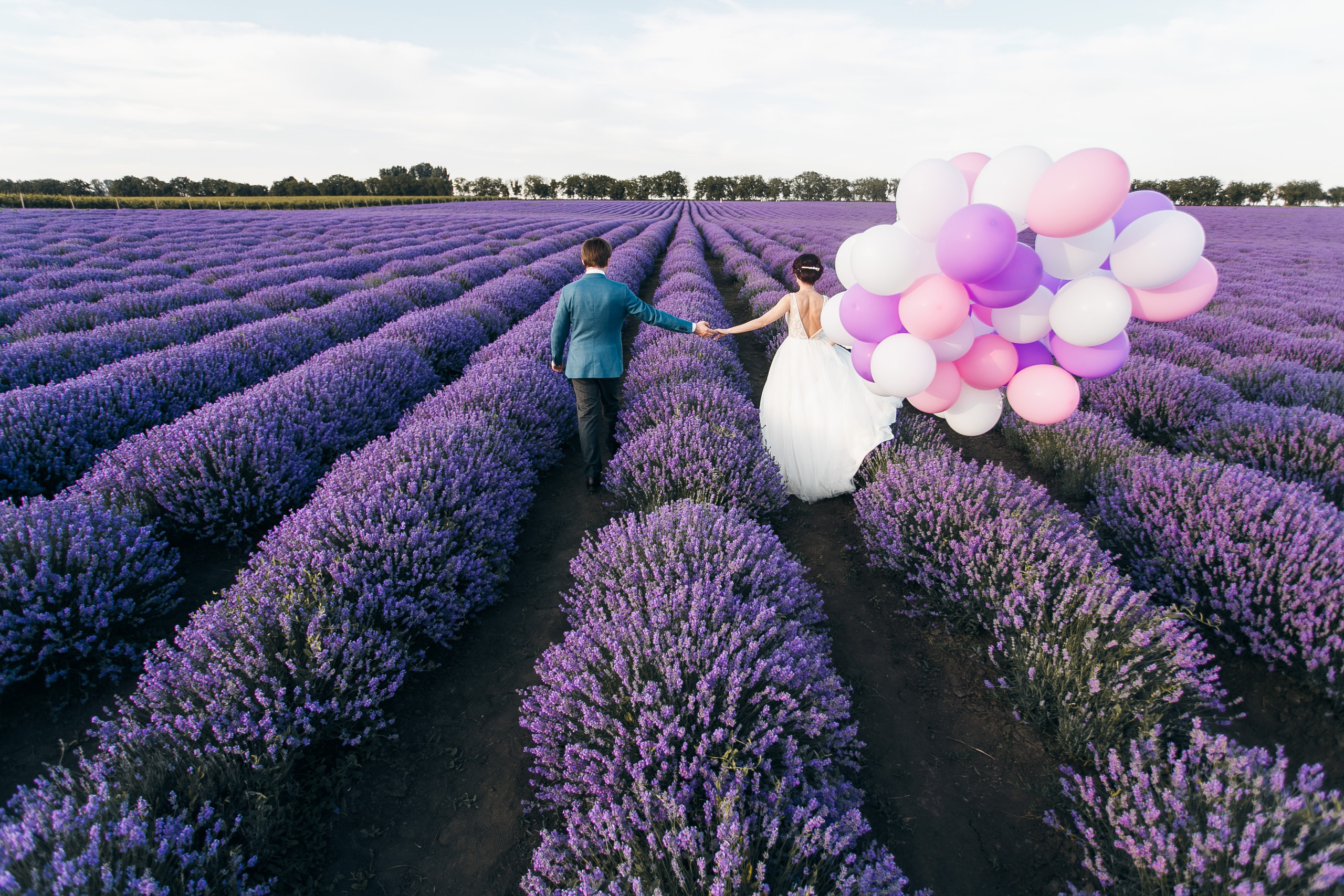Фотосерия в Лаванде Кишинев. Свадебный Фотограф Кишинев, Москва Евгений Шевердов