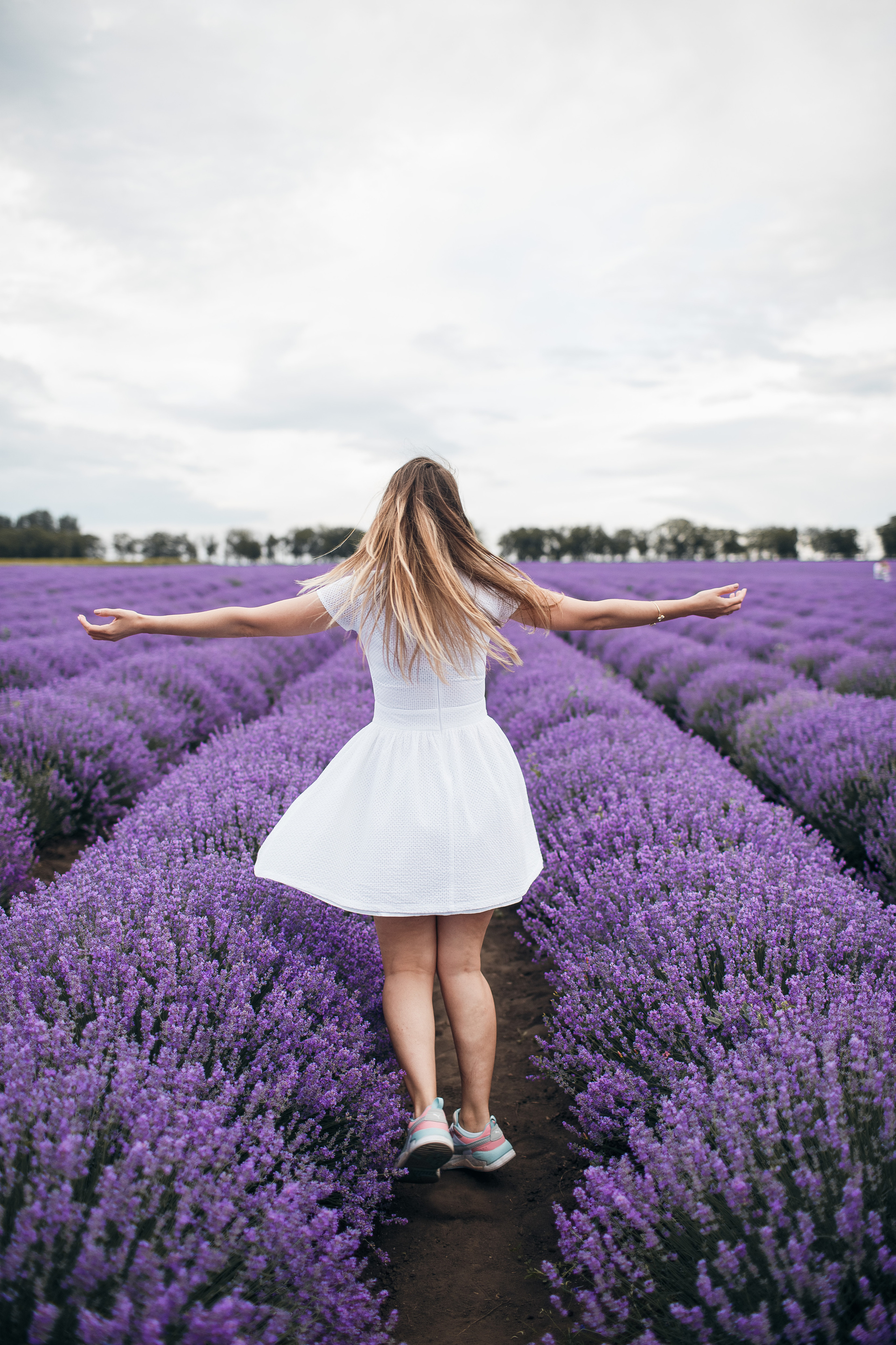 Фотограф В лаванду Кишинев. Fotograf nuntă & botez în Chișinău — eS Photography