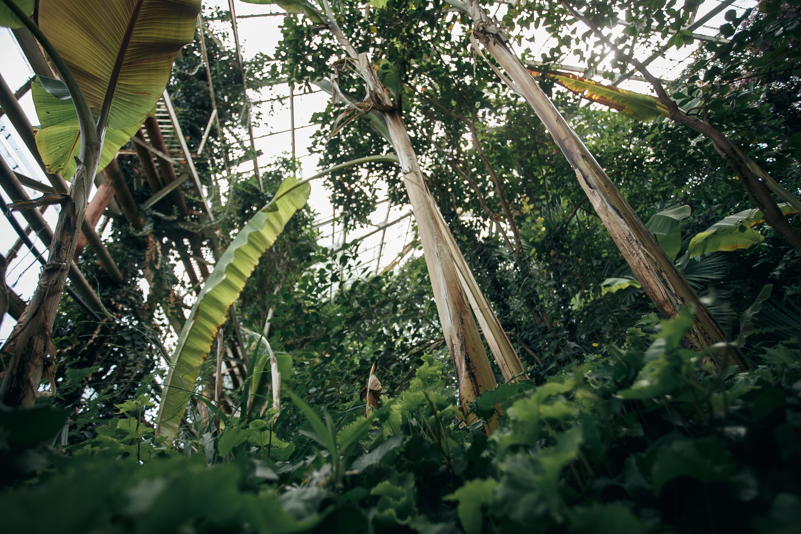 Alex&Victoria 2020. Свадебный Фотограф Кишинев, Москва Евгений Шевердов