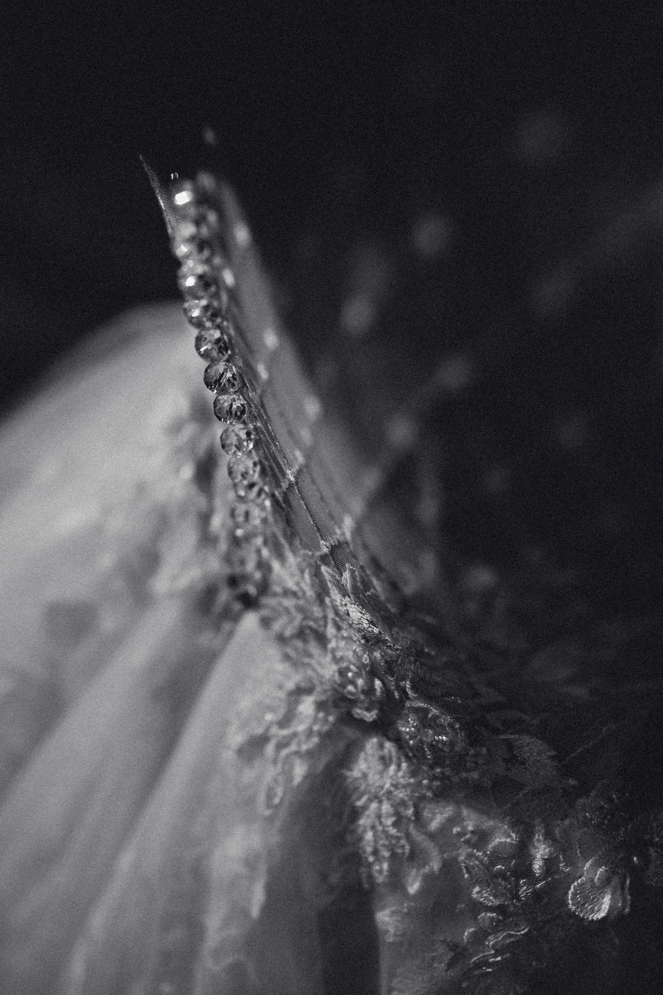 VICTOR & SOFIA. Свадебный Фотограф Кишинев, Москва Евгений Шевердов