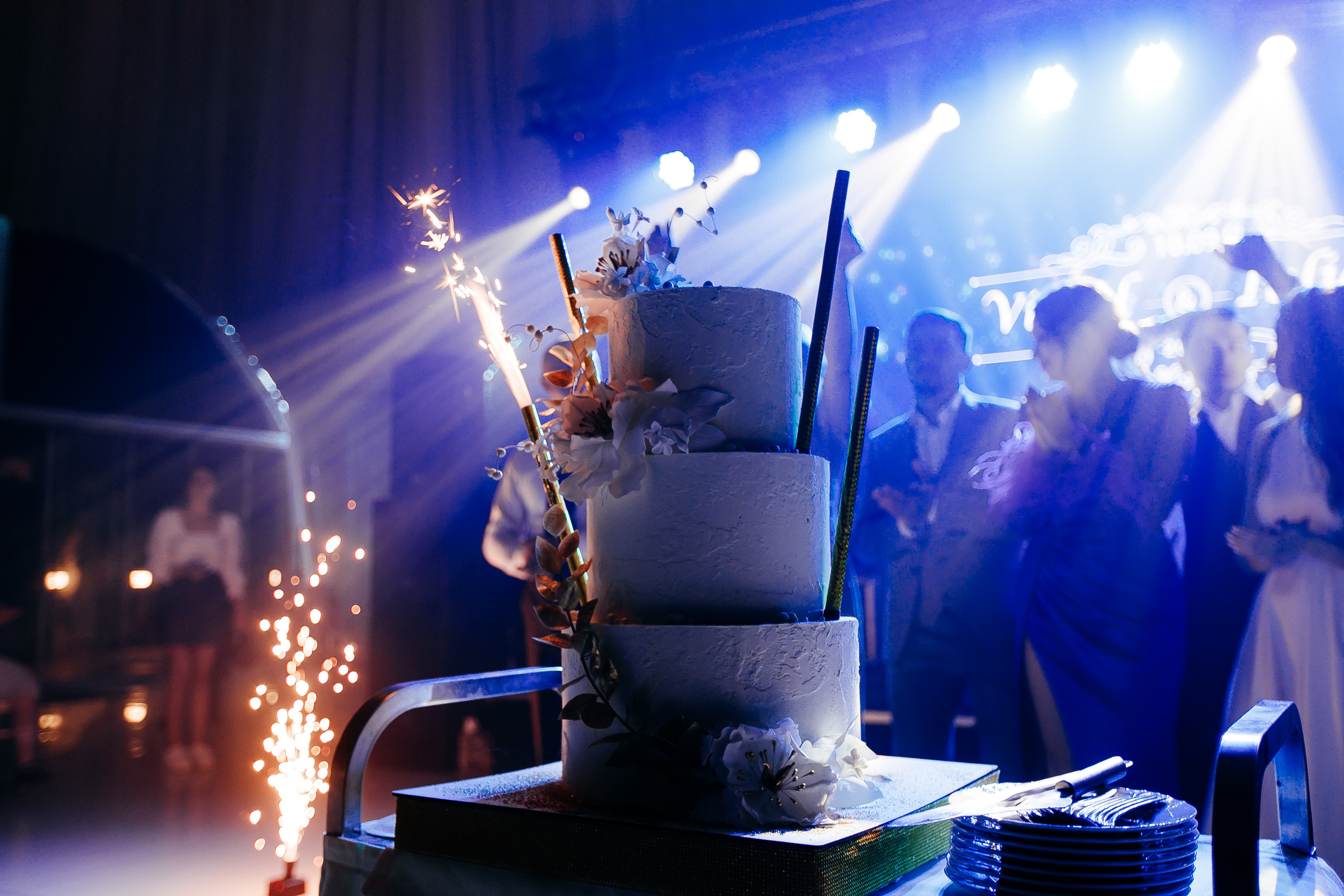 VIOREL & IULIANA. Свадебный Фотограф Кишинев, Москва Евгений Шевердов