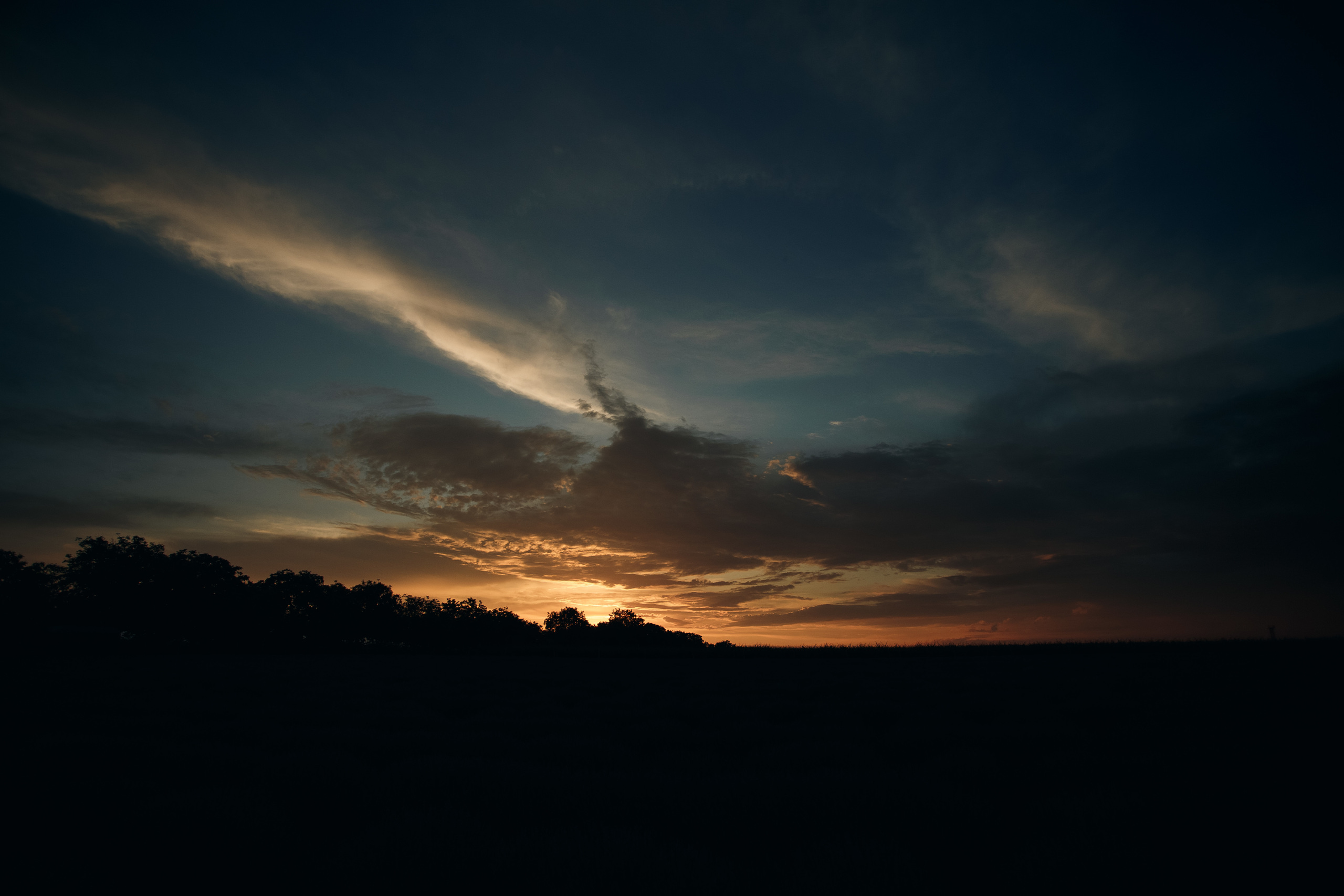 Фотограф в Лаванде Кишинев 2021. Свадебный Фотограф Кишинев, Москва Евгений Шевердов