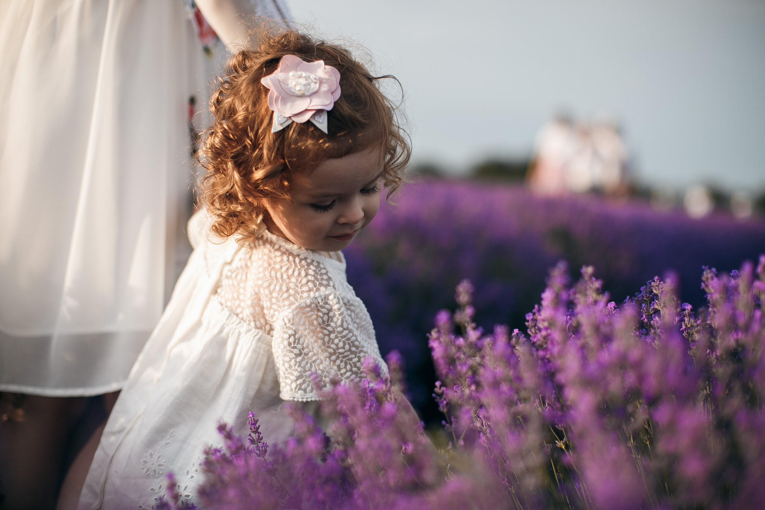 Fotograf lavandita Chishinau. Свадебный Фотограф Кишинев, Москва Евгений Шевердов