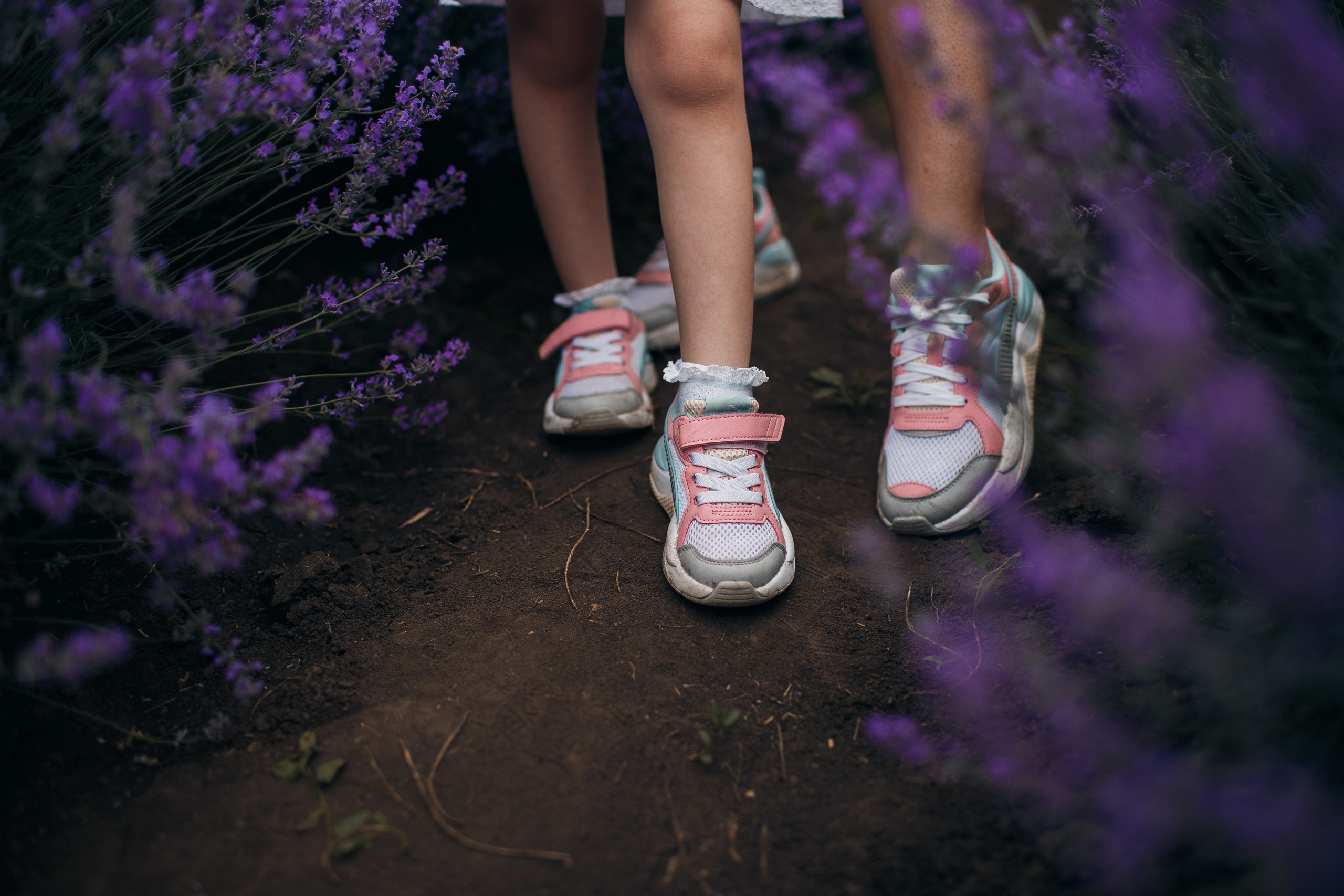 Фотограф В лаванду Кишинев. Fotograf nuntă & botez în Chișinău — eS Photography