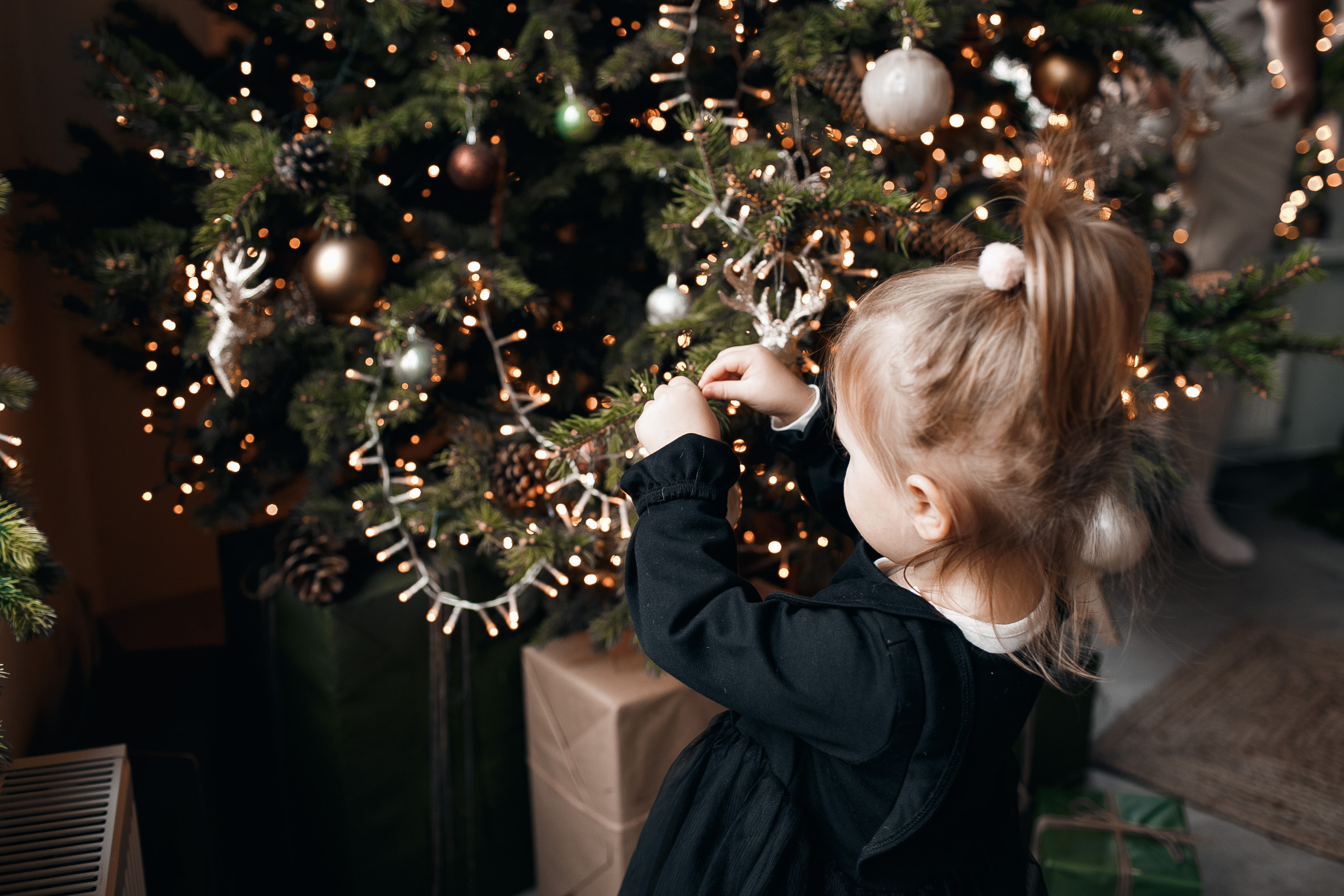 Новогодняя фотосессия в Кишиневе. Свадебный Фотограф Кишинев, Москва Евгений Шевердов