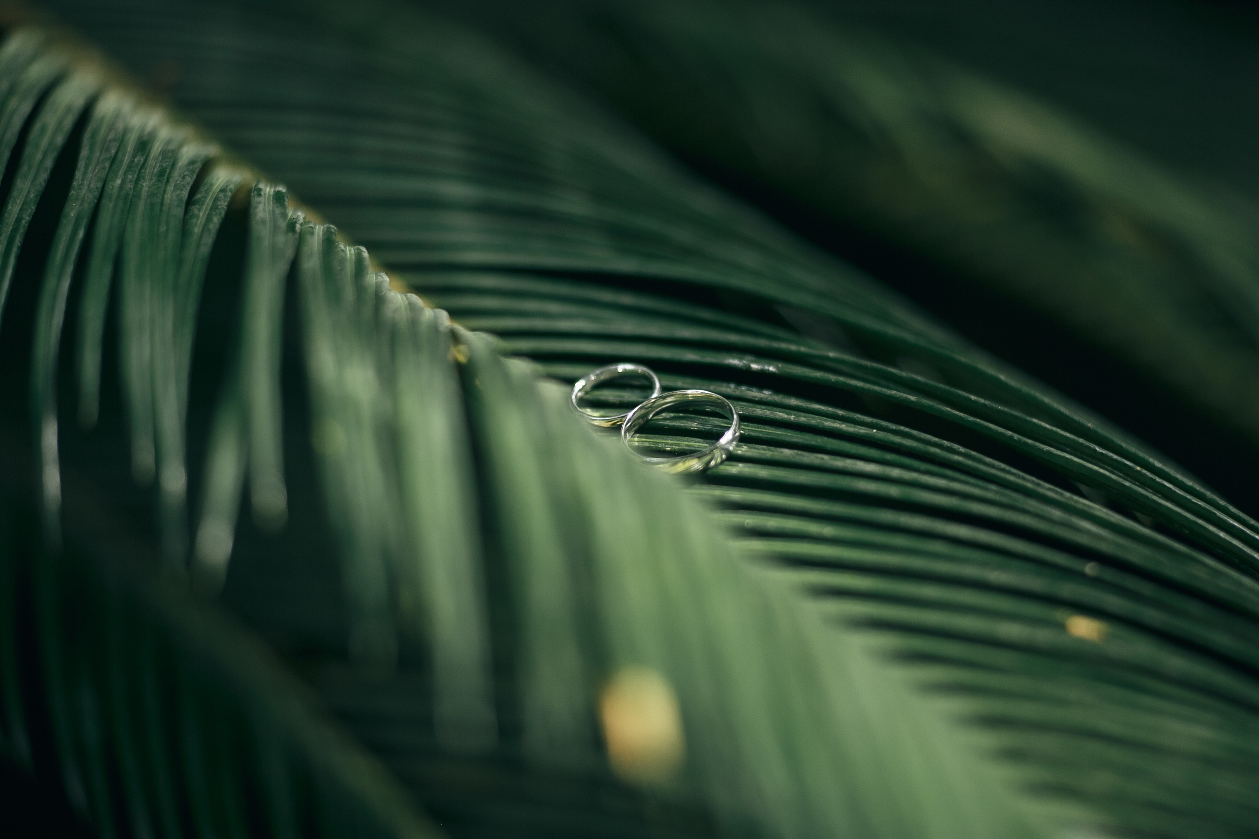 Alex&Victoria 2020. Свадебный Фотограф Кишинев, Москва Евгений Шевердов