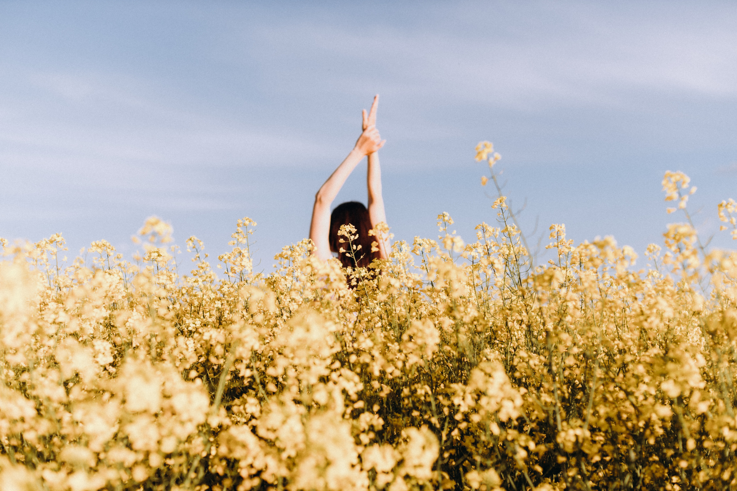 Рапсове поле. Портретний і сімейний фотограф Київ