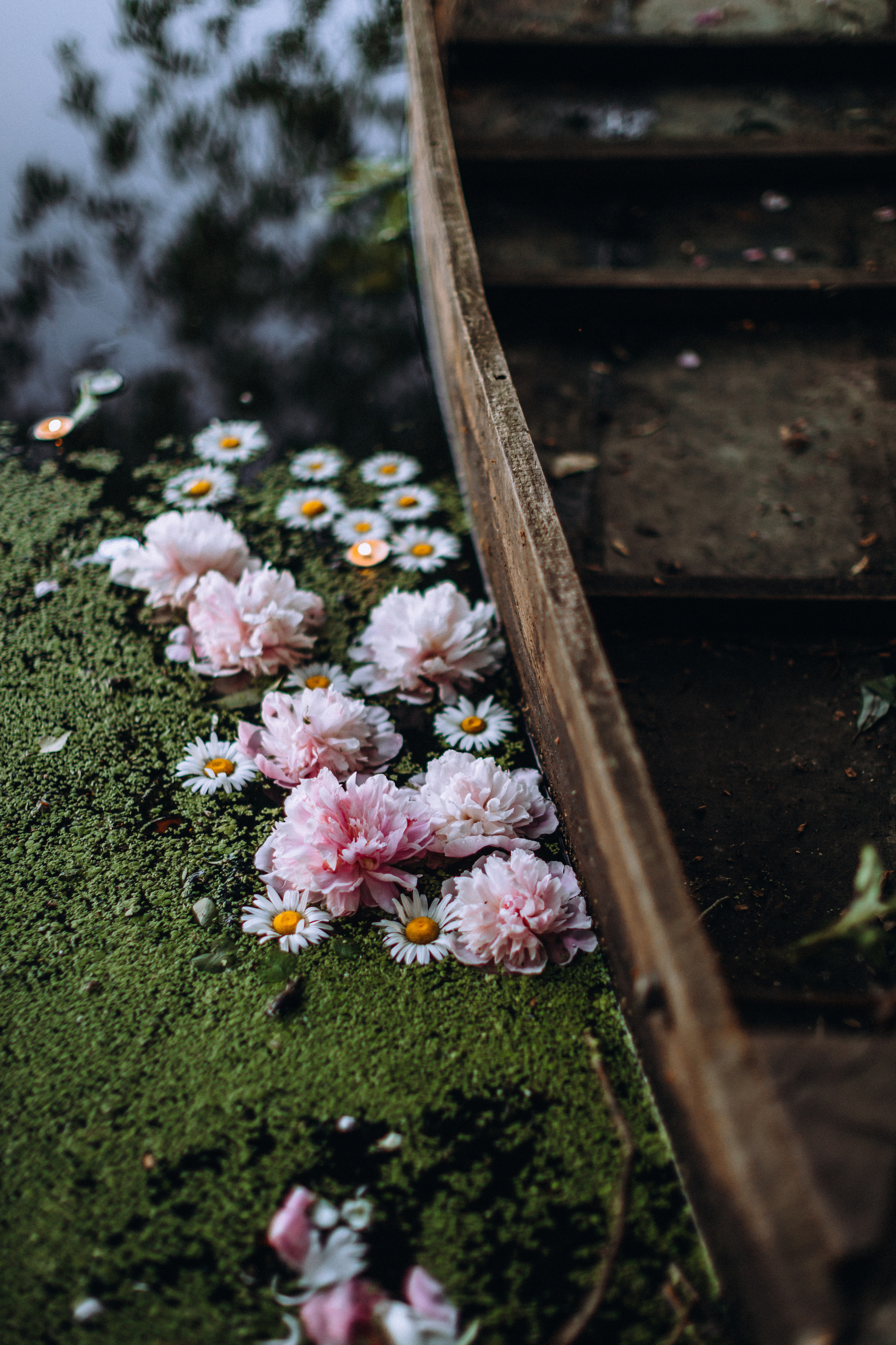 Peoni season. Портретний і сімейний фотограф Київ