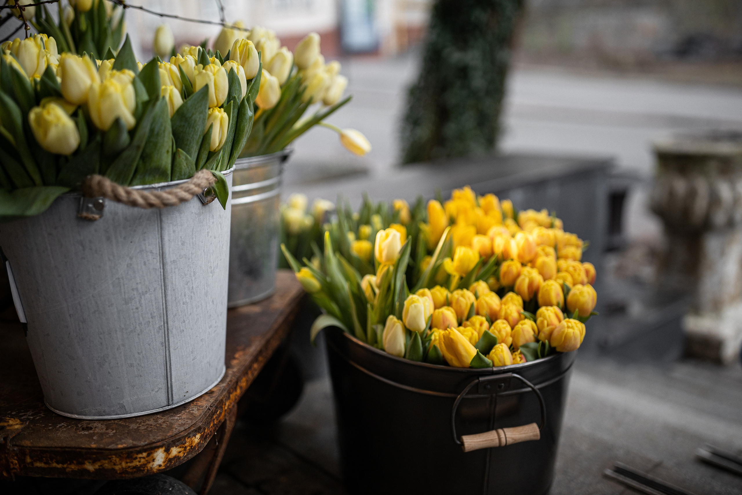 Кловський сад. Портретний і сімейний фотограф Київ