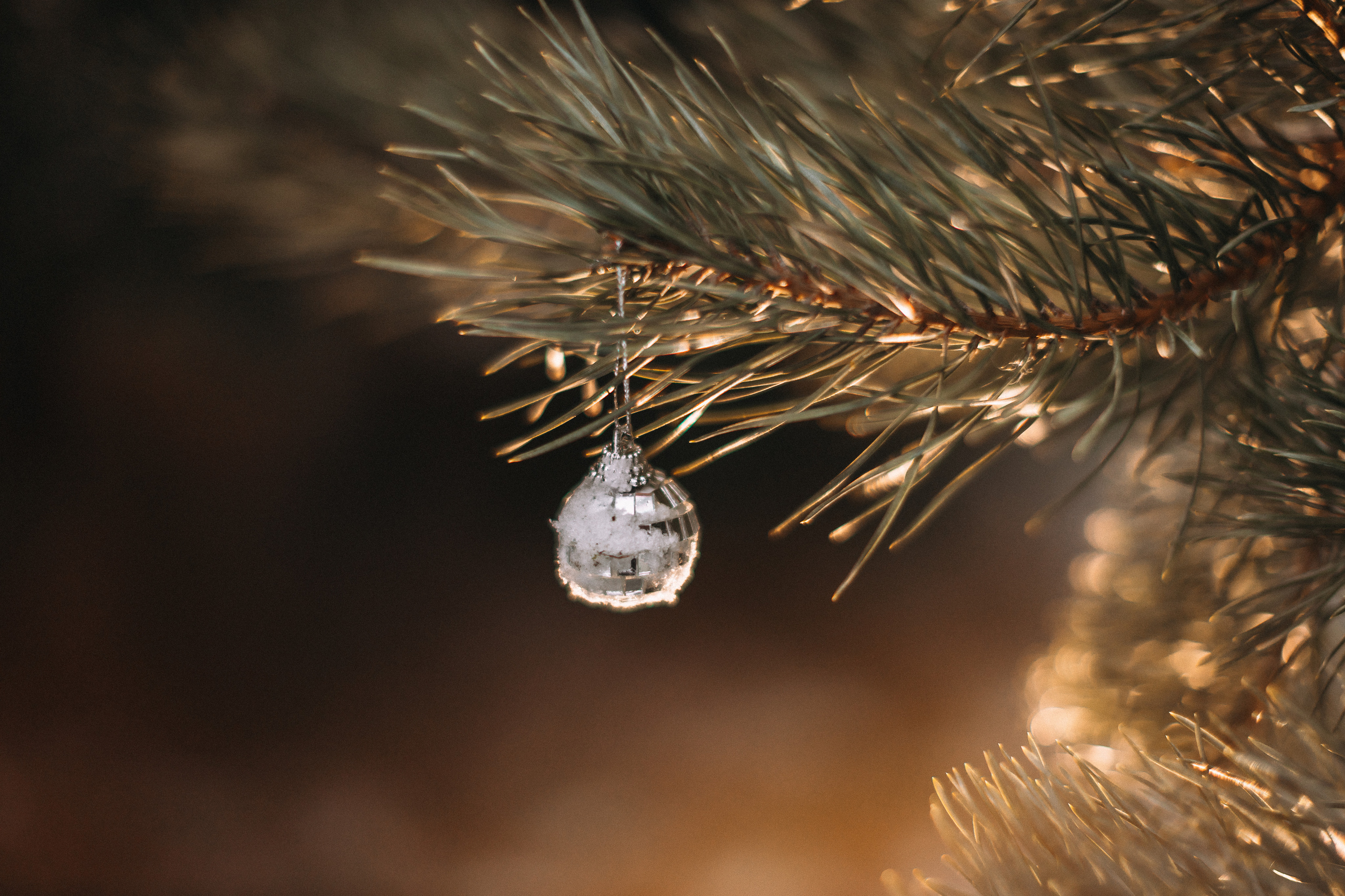 Софійка на канікулах. Портретний і сімейний фотограф Київ