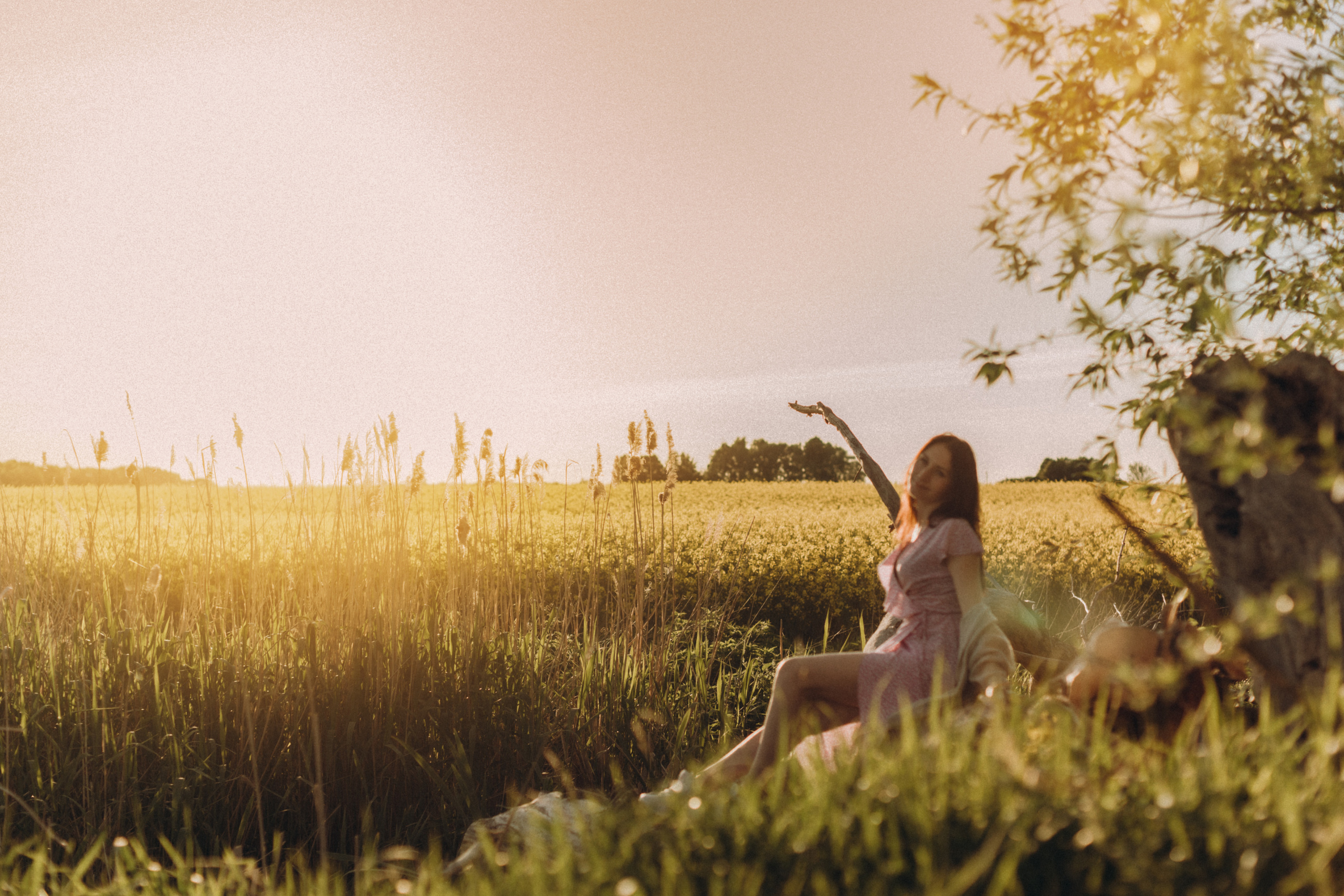 Рапсове поле. Портретний і сімейний фотограф Київ