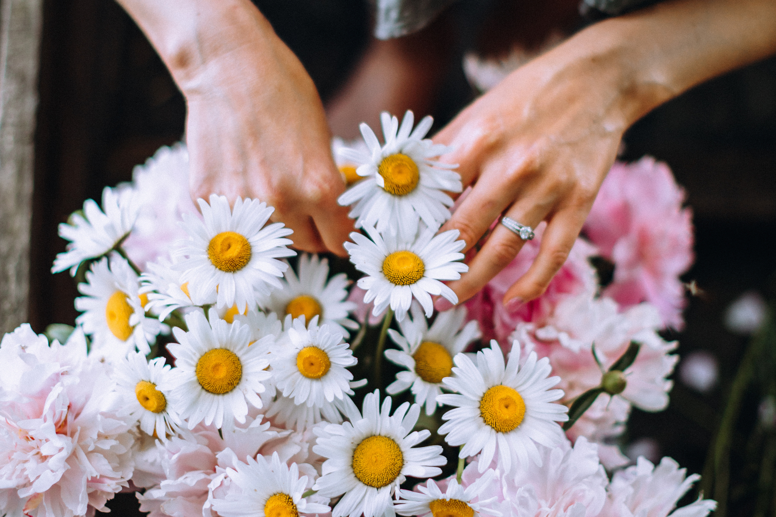 Peoni season. Портретний і сімейний фотограф Київ