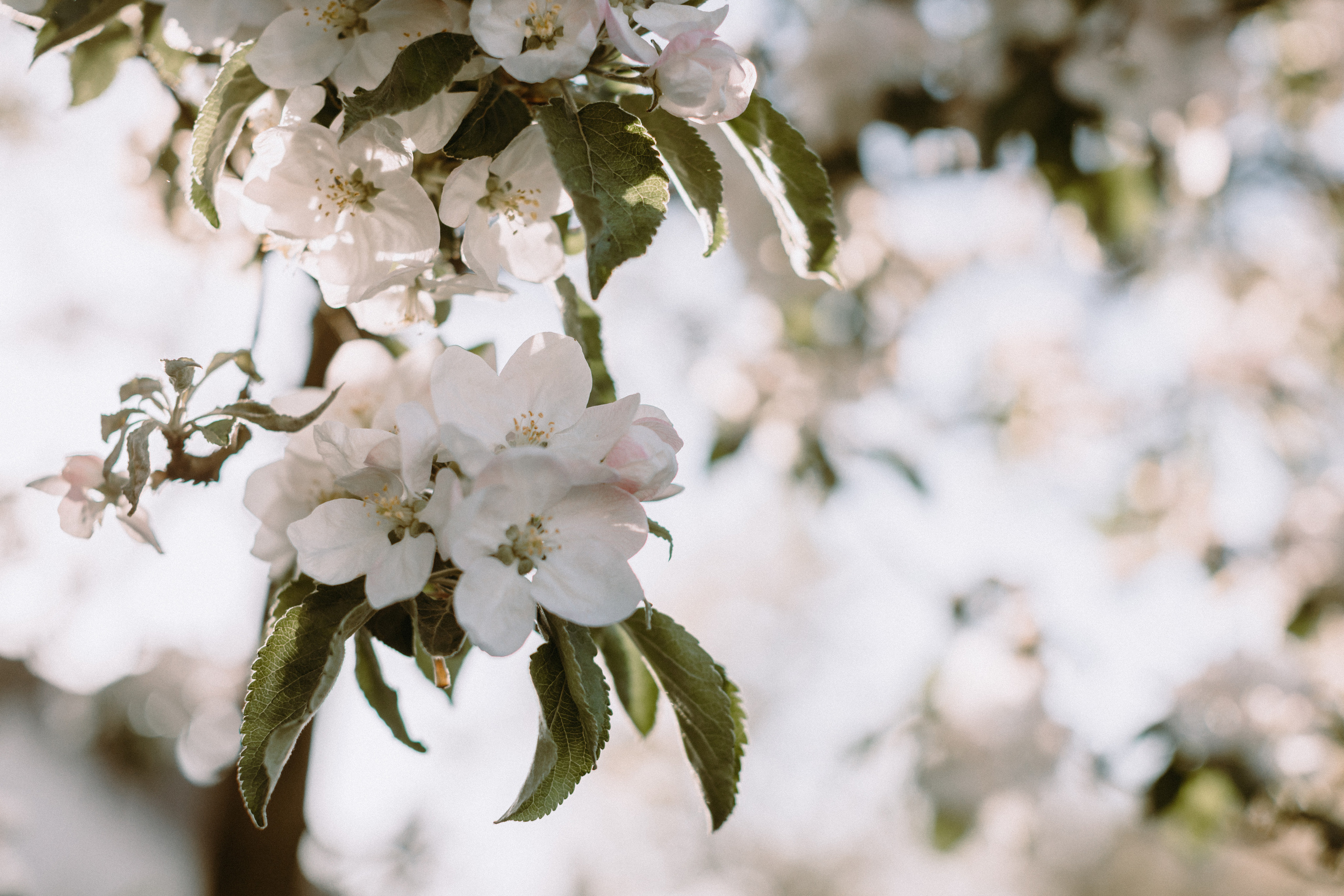 WAR…MAY 2022. Портретний і сімейний фотограф Київ