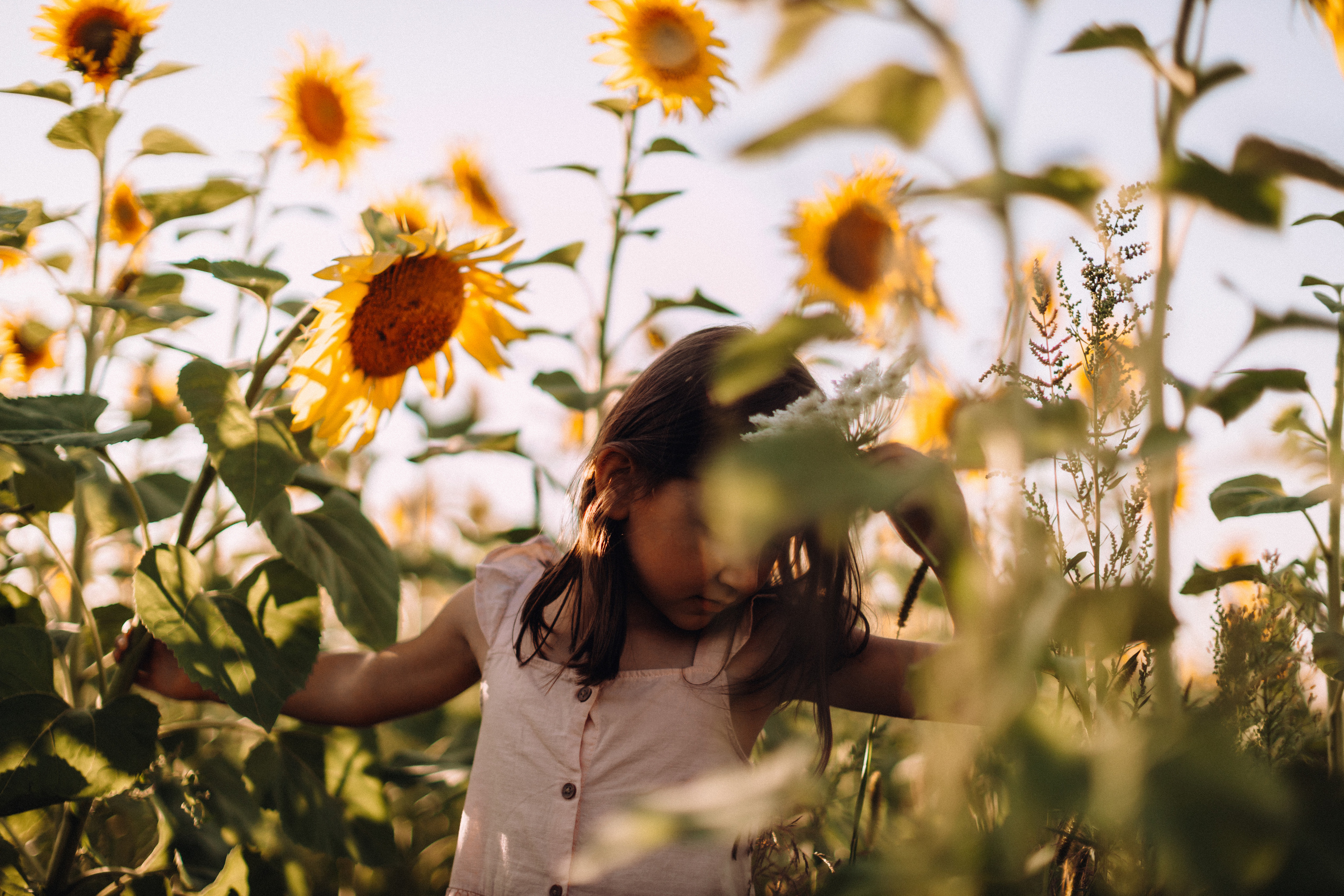 Sunflowers. Портретний і сімейний фотограф Київ