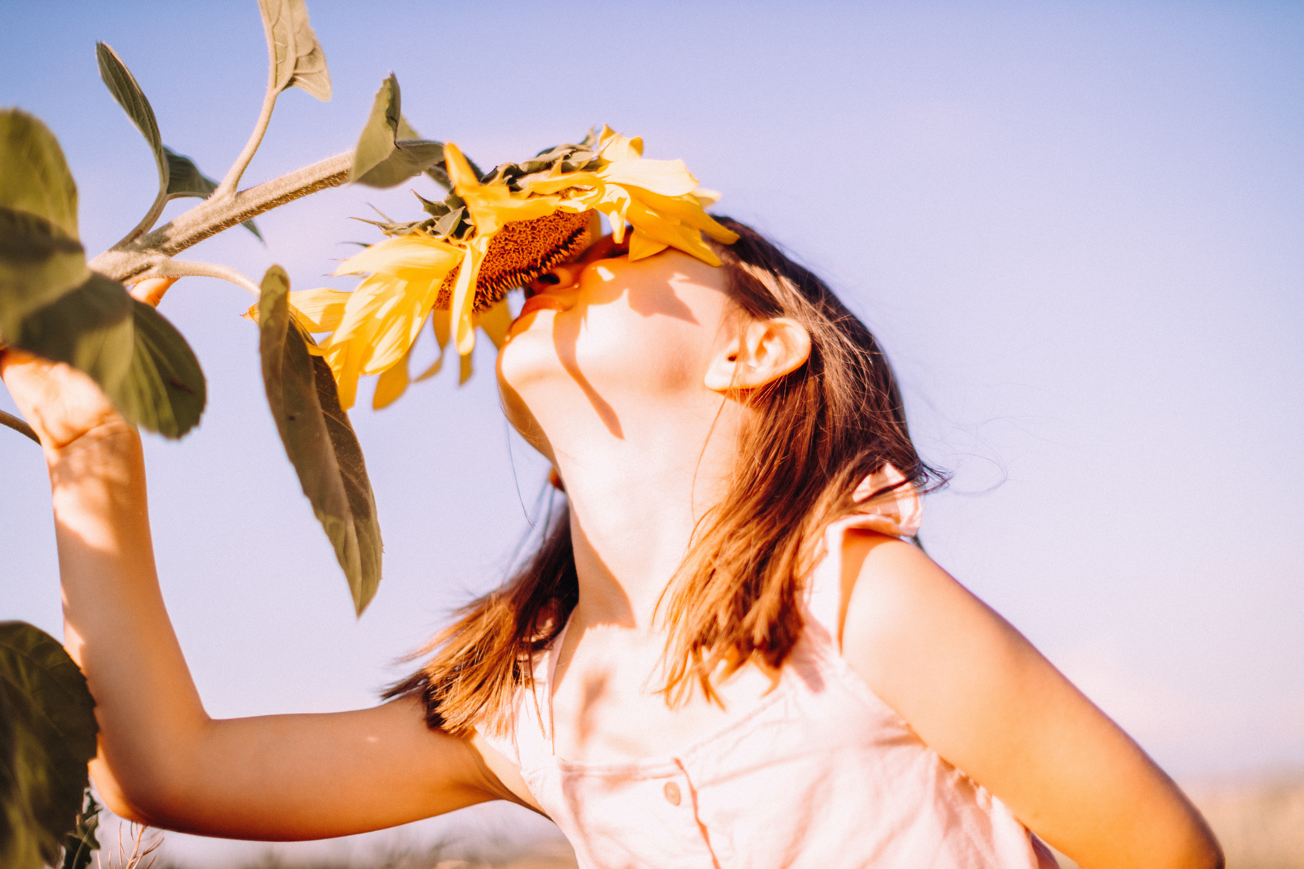 Sunflowers. Портретний і сімейний фотограф Київ