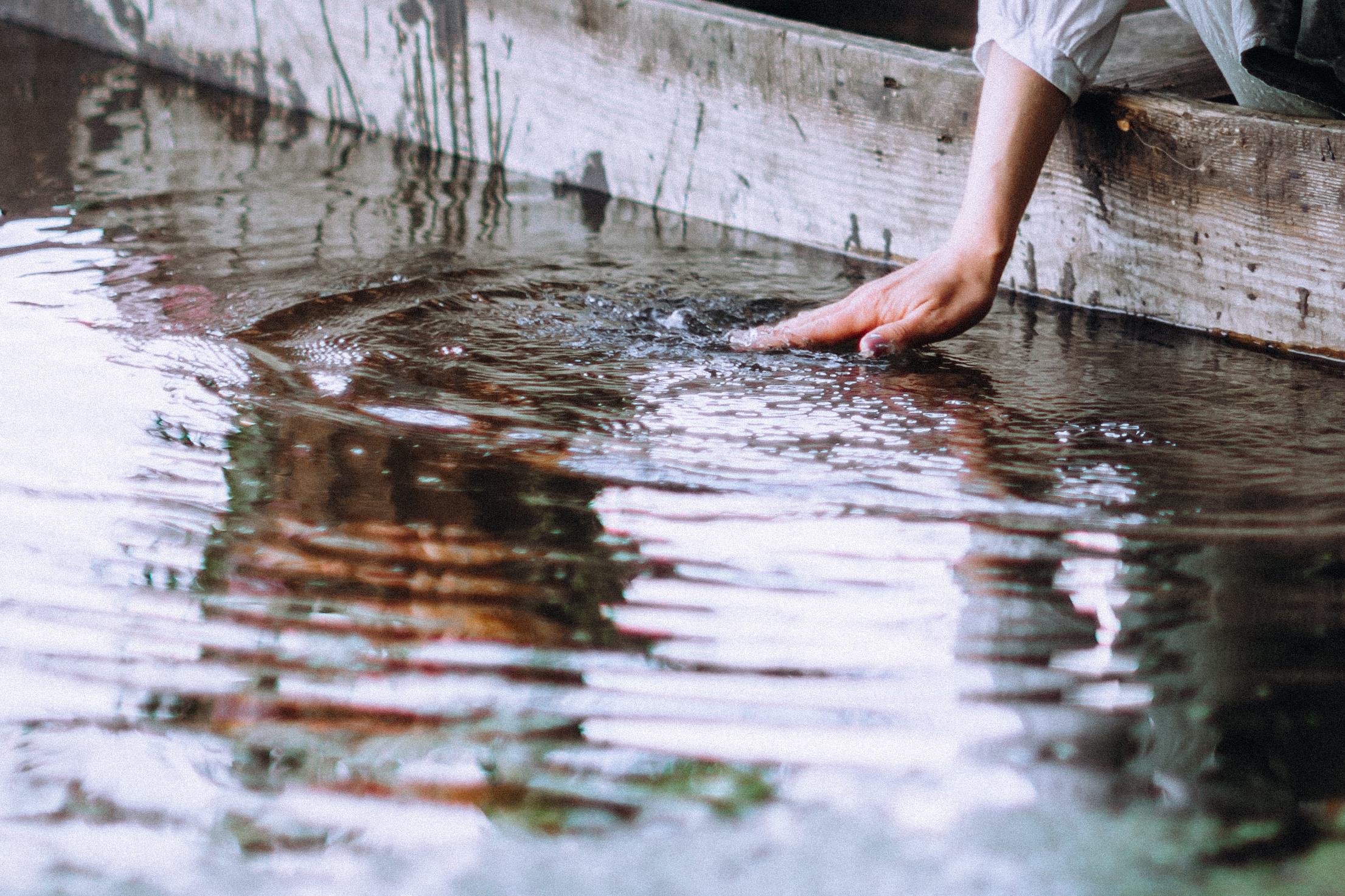 Peoni season. Портретний і сімейний фотограф Київ